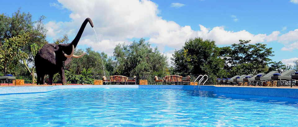 Kudu Lodge, Ngorongoro Crater | Timbuktu Travel