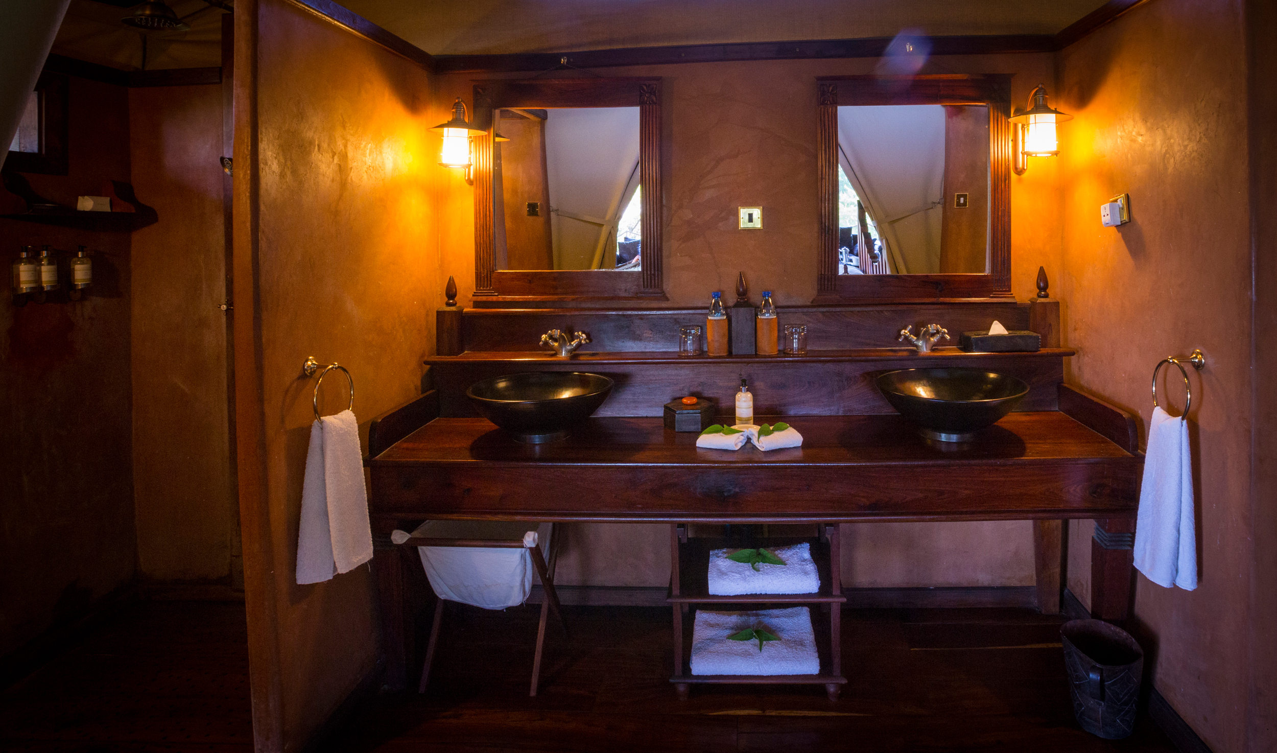 Luxurious double-basin vanity bathroom with dark wood furnishings