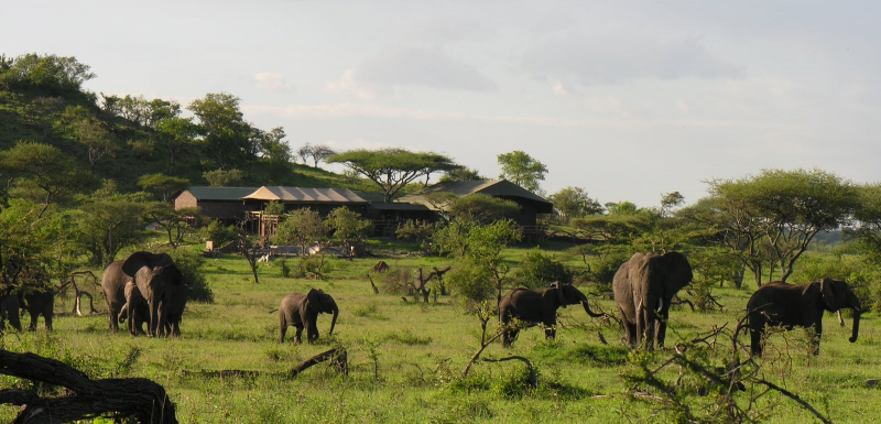 Grumeti Migration Camp, Serengeti | Timbuktu Travel