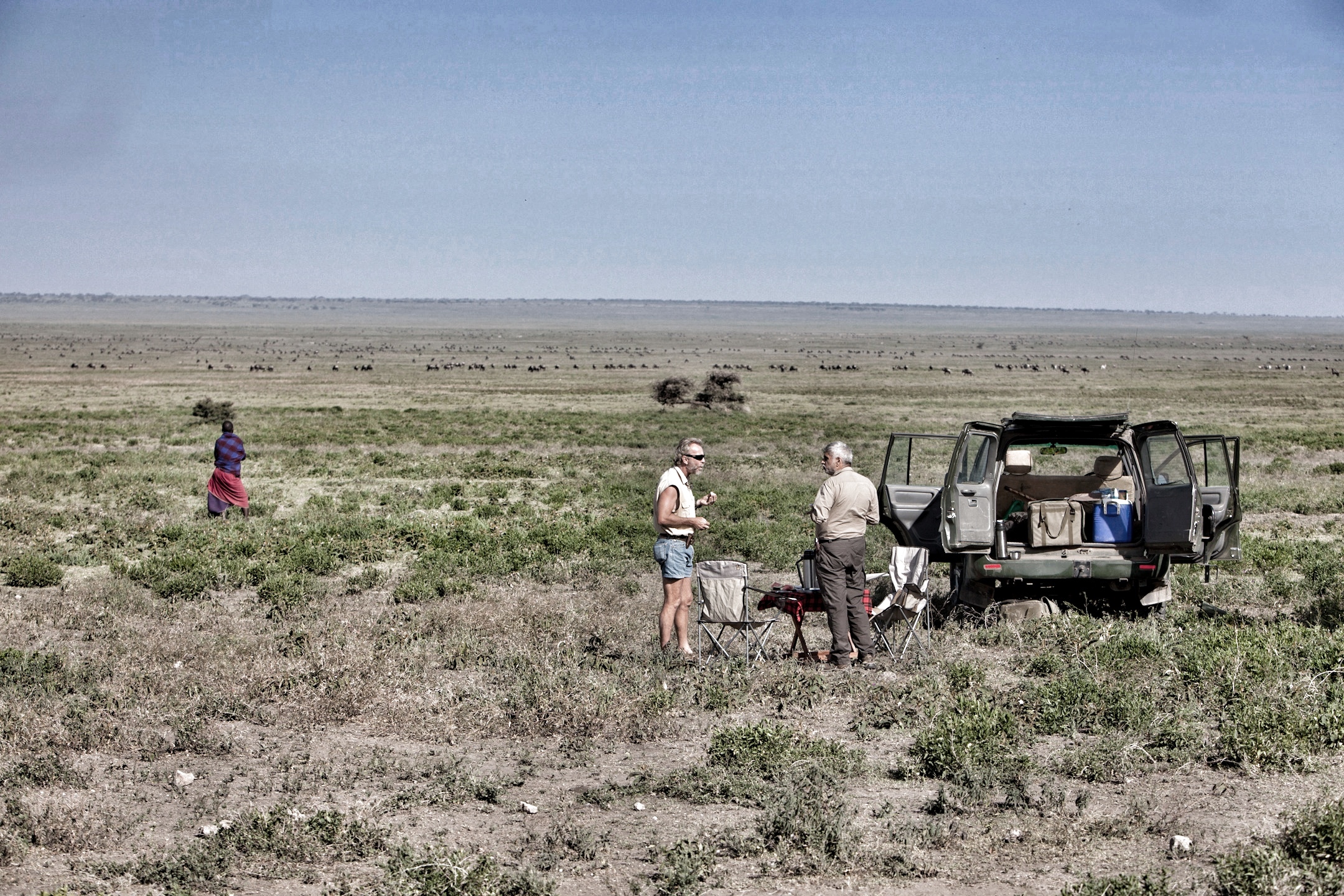 On the wide open Southern Serengeti short grass plains