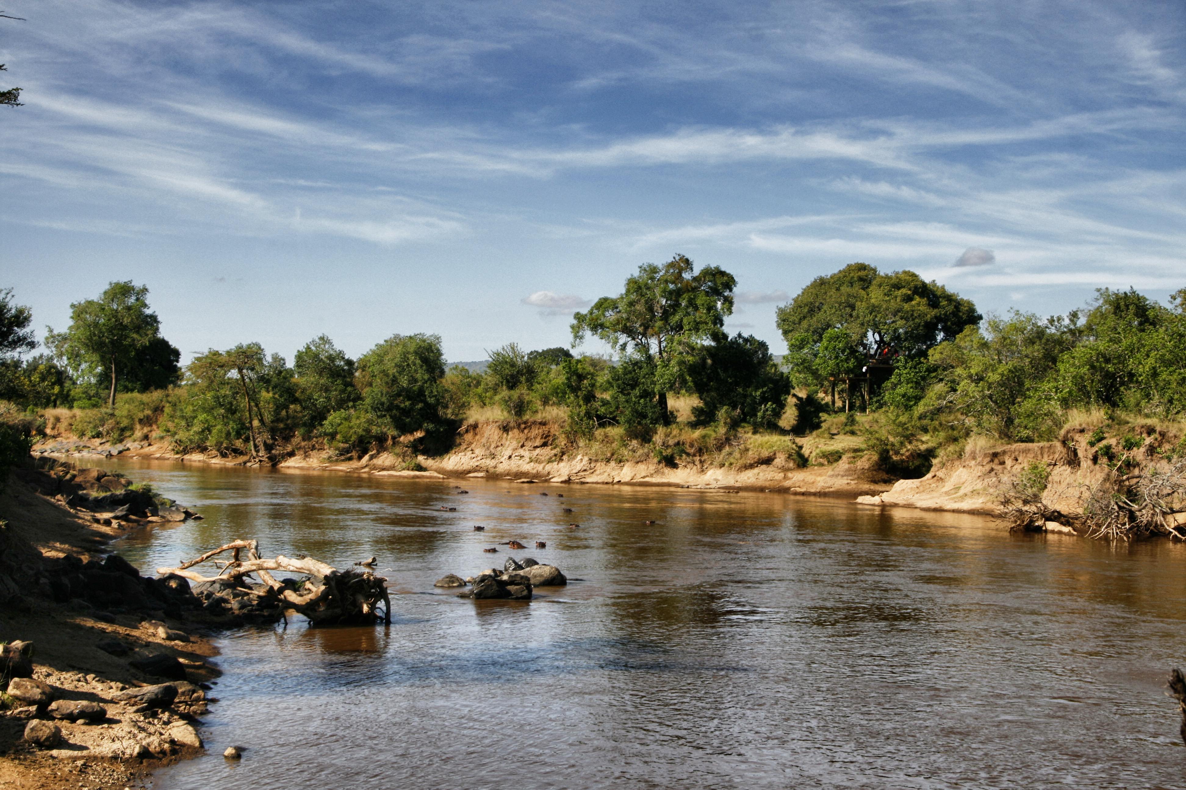 View of the Mara River from The Nest