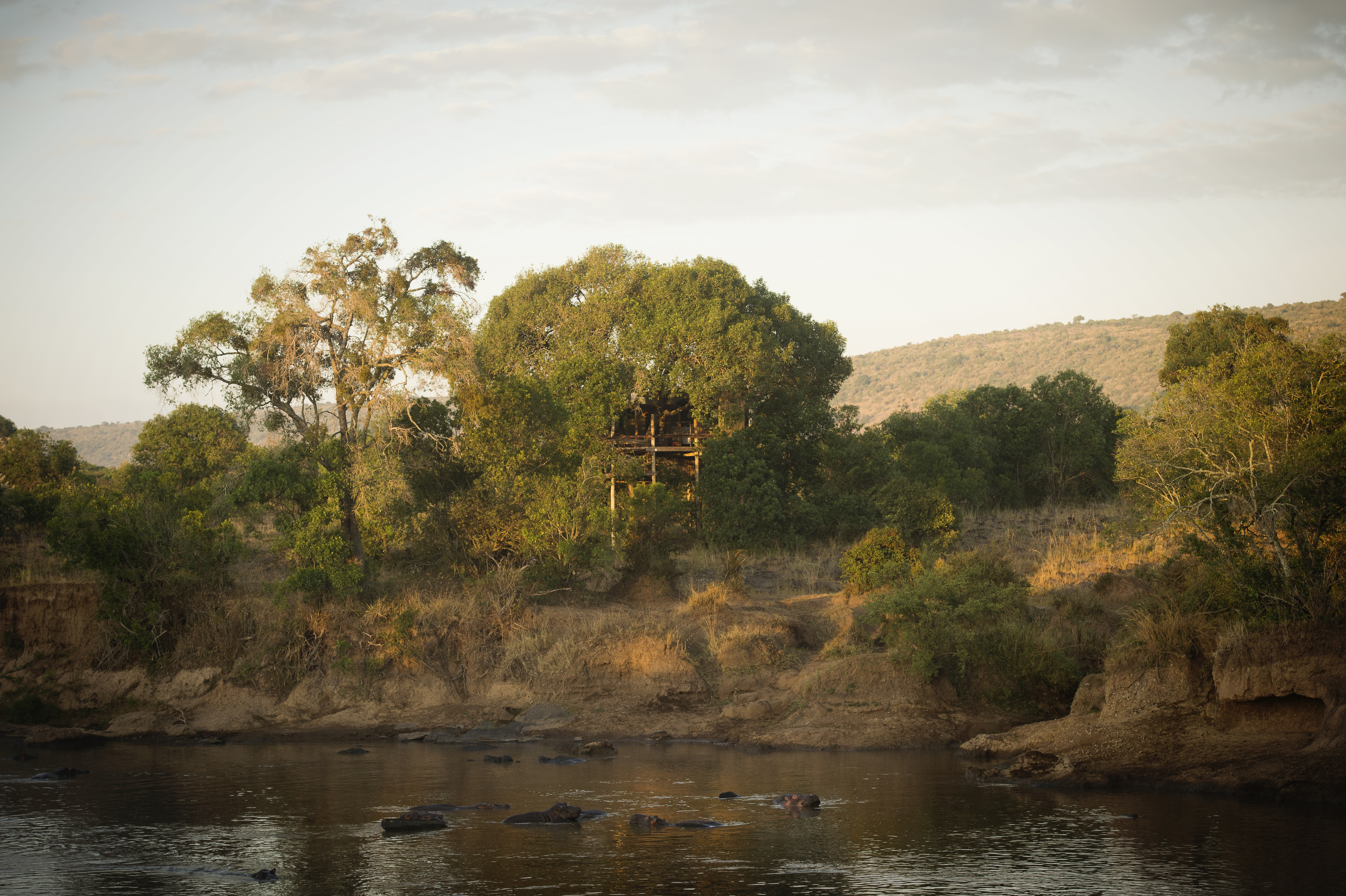 The Nest @ Serian, Masai Mara | Timbuktu Travel