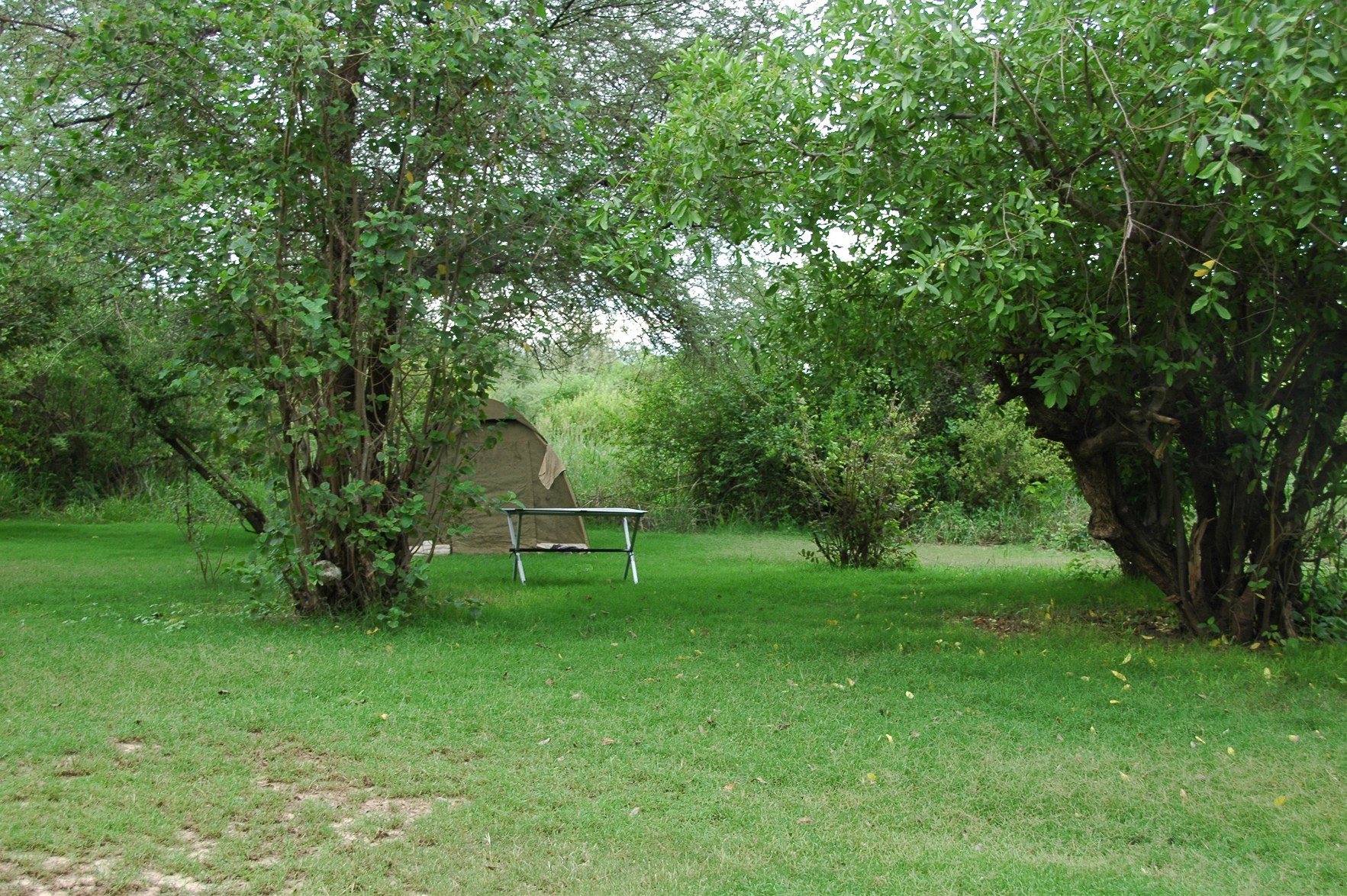 Roika Tarangire Tented Lodge, Tarangire | Timbuktu Travel