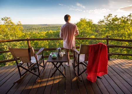 Elevated platforms allowing views over the trees
