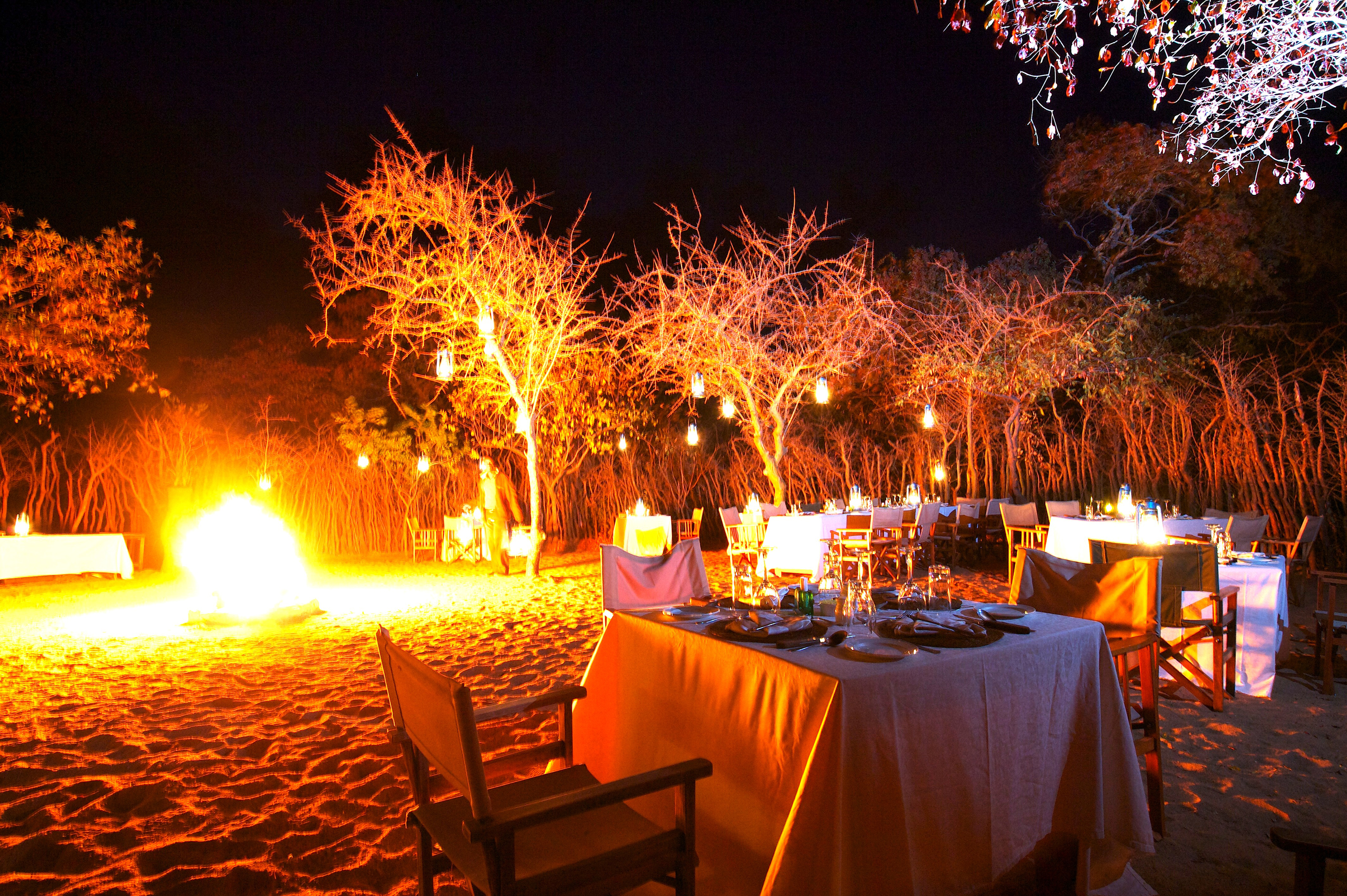 Boma dinner under the stars