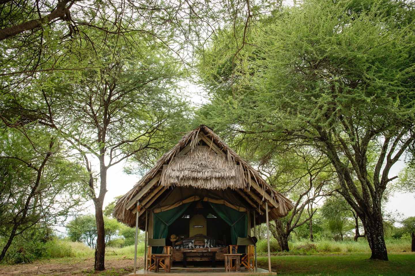 Tarangire Safari Lodge, Tarangire | Timbuktu Travel