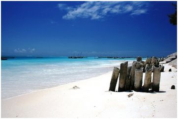 Flame Tree Cottages, Zanzibar | Timbuktu Travel