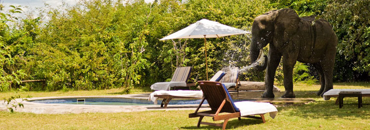 Kasaka Hippo Pod, Lower Zambezi | Timbuktu Travel