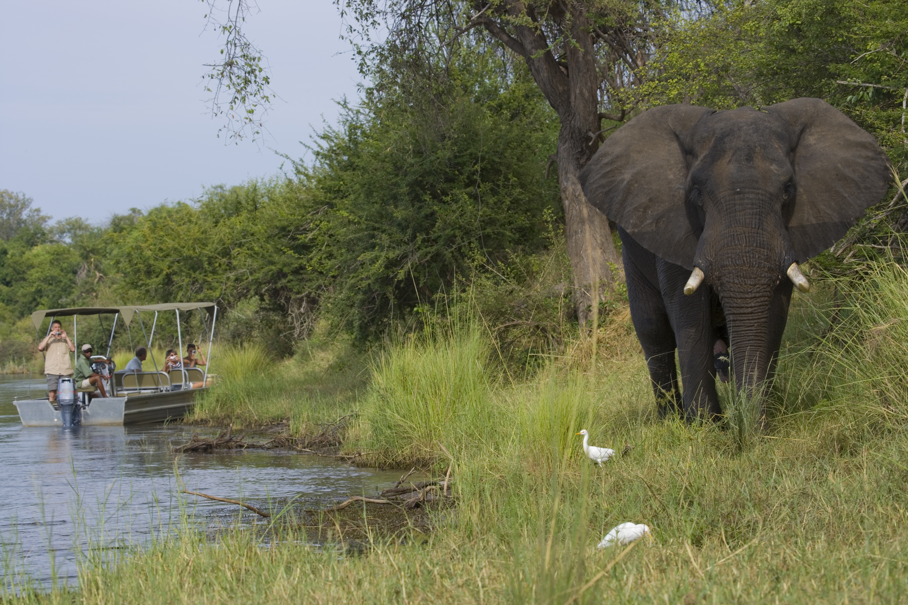 Enjoy game viewing by boat, canoe or vehicle. Other activities included sport angling, sundowner cruises and walking safaris.