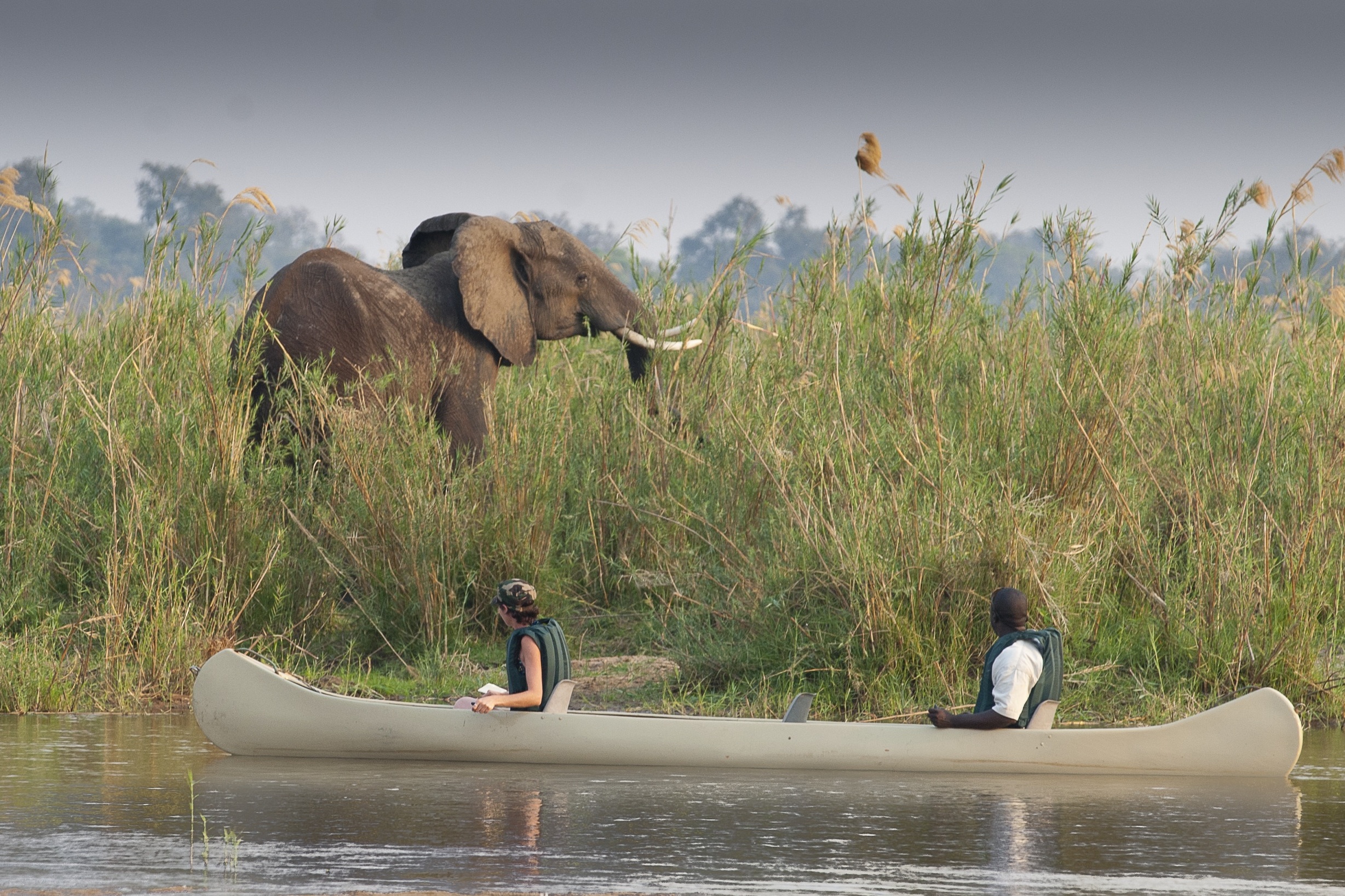 Enjoy game viewing by boat, canoe or vehicle. Other activities included sport angling, sundowner cruises and walking safaris.