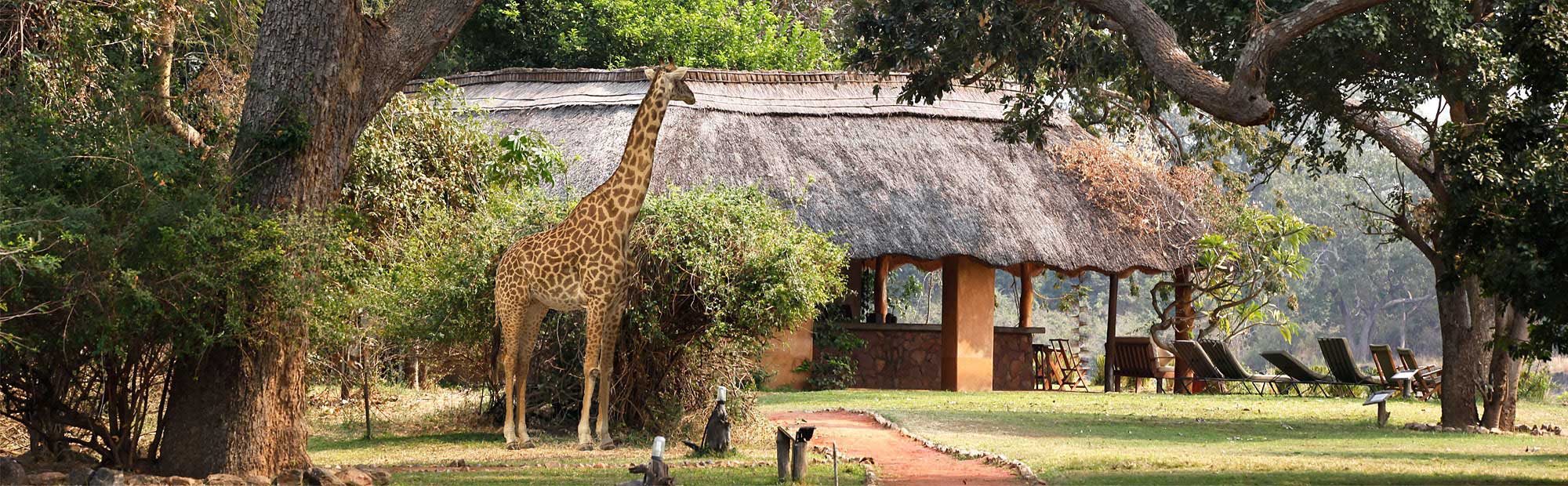 Track & Trail River Camp, South Luangwa | Timbuktu Travel
