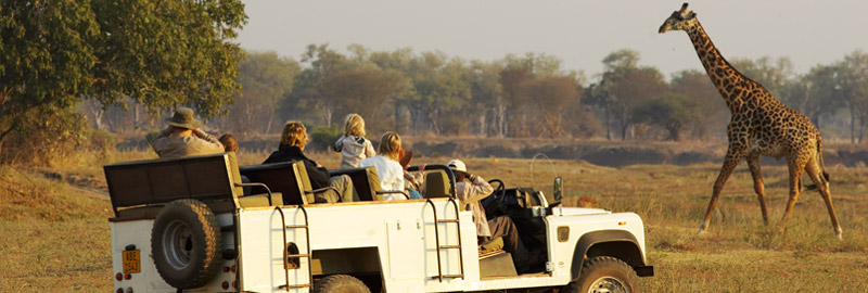 Wildlife Camp, South Luangwa | Timbuktu Travel