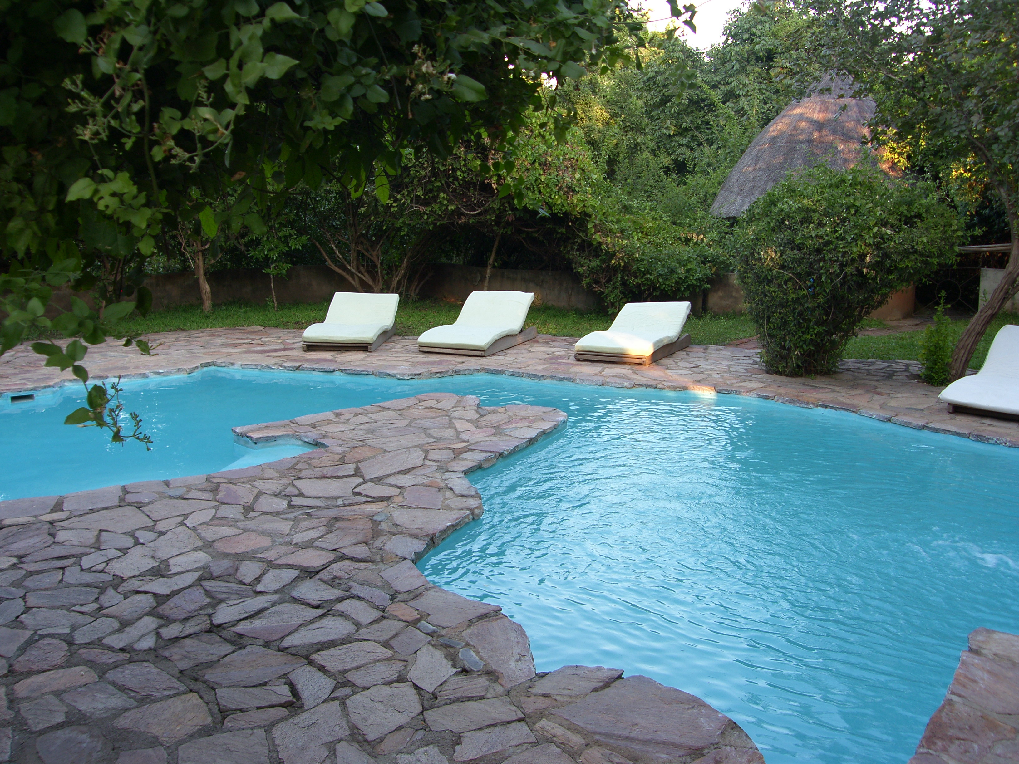 Relax between the game drives in or around the Zambia shaped pool. One of the clearest pools of Zambia!