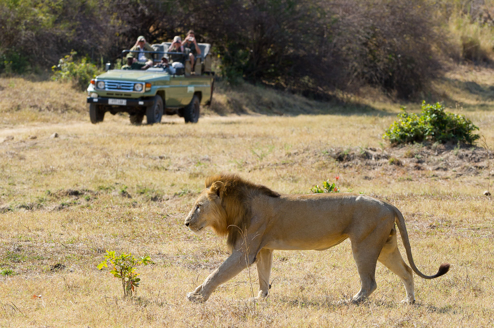 Relax during the day and continue game viewing from your own private deck