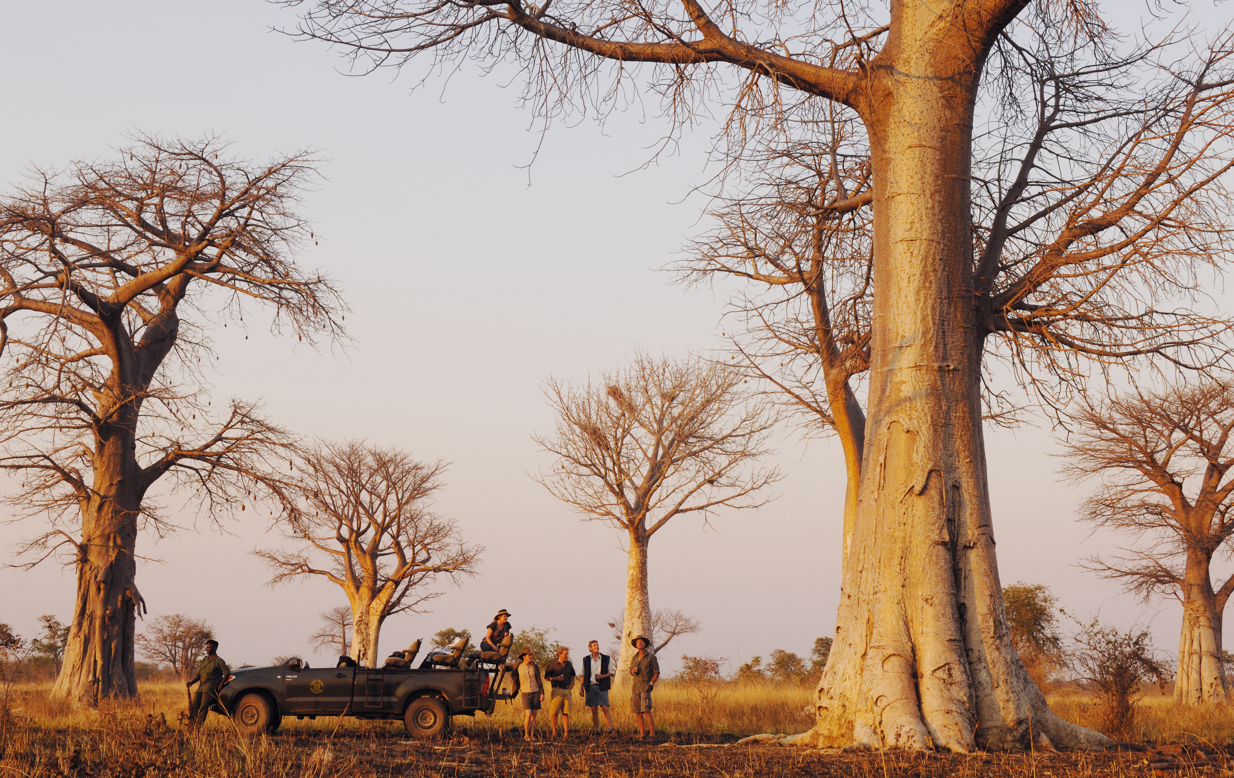 A stop in the Baobab Forest