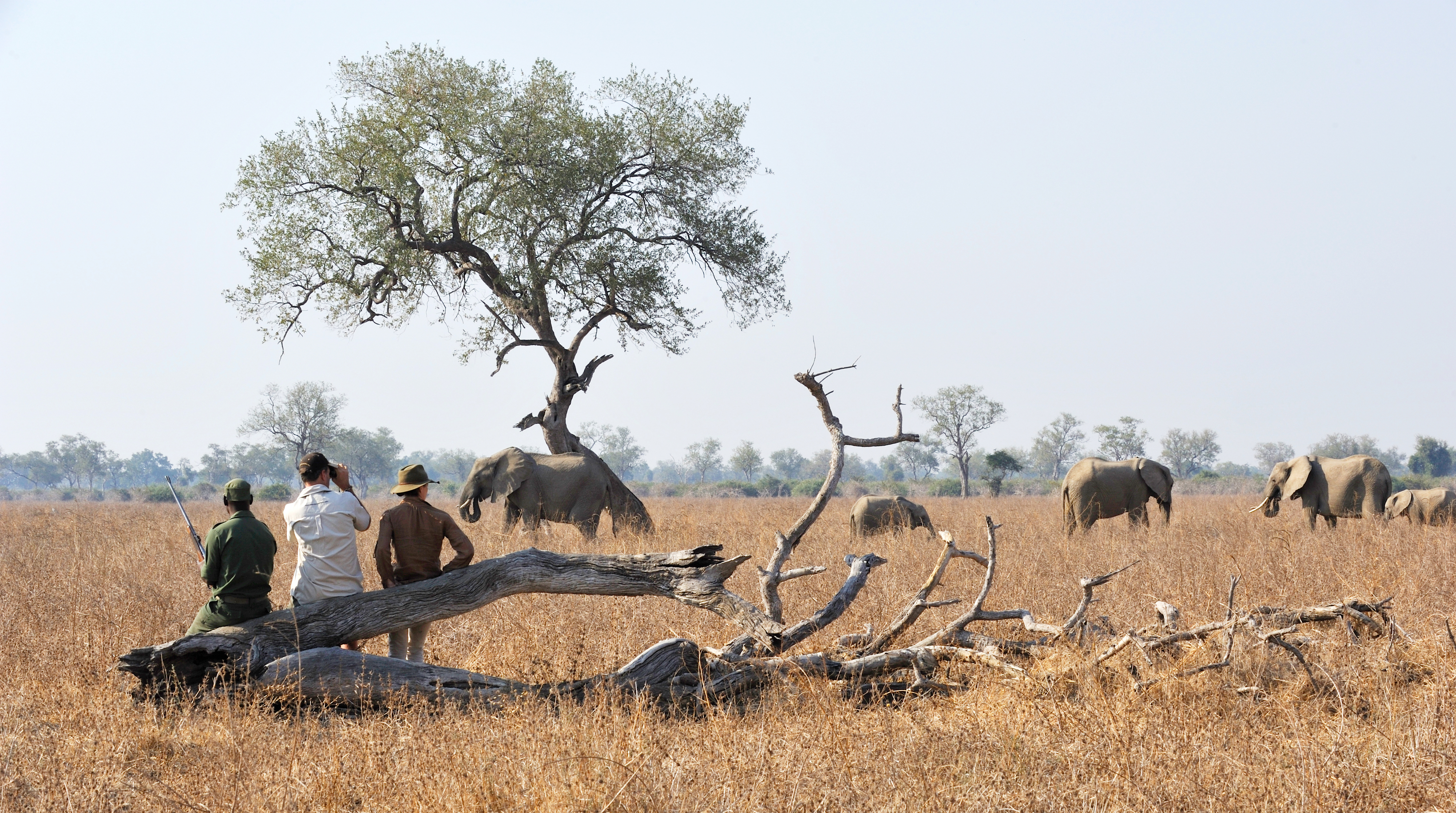 Great opportunities to get up close and personal with these amazing animals