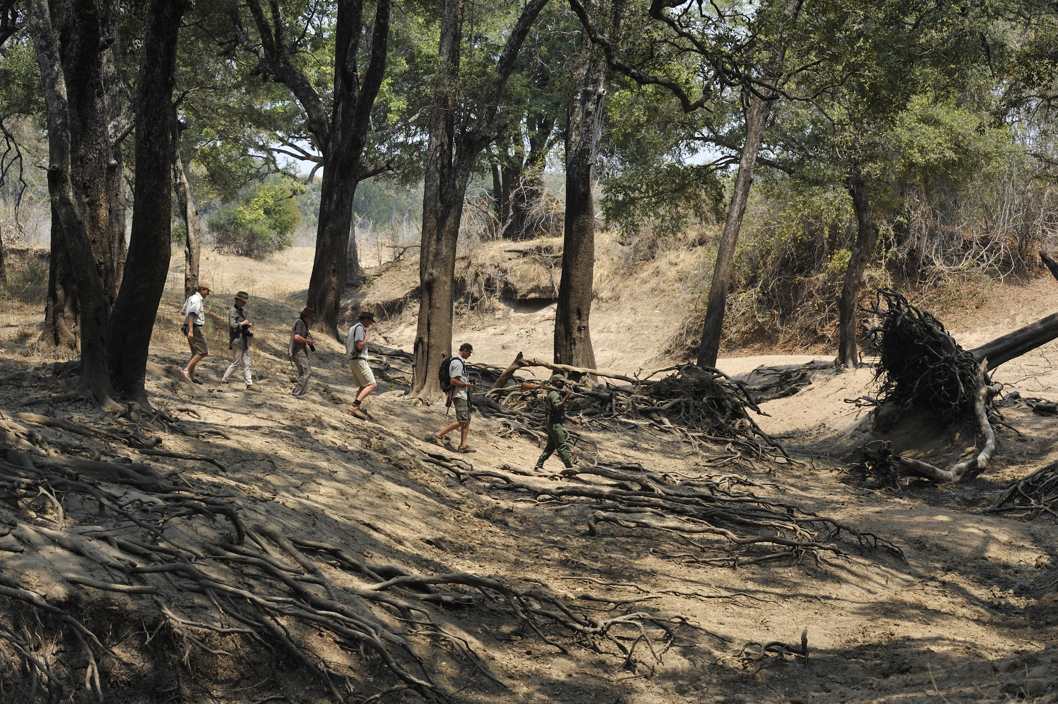 A beautiful walk is done between the two camps 