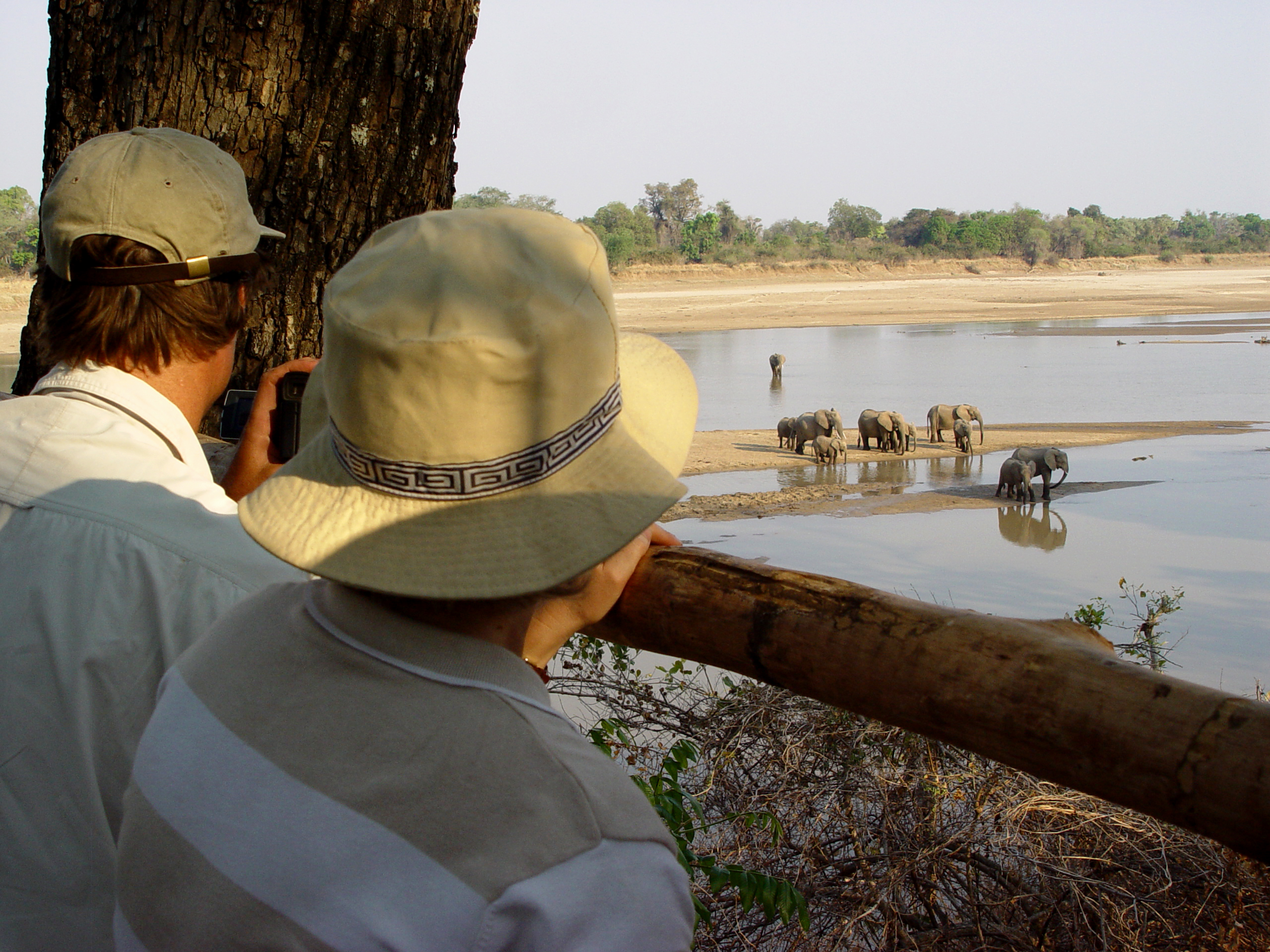 Shenton Safaris is known for its many hides which offer amazing photographic opportunites