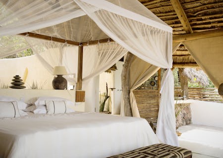 Each open suite allows you all the comforts you could ask for, and the ultimate luxury of proximity to nature in complete safety.