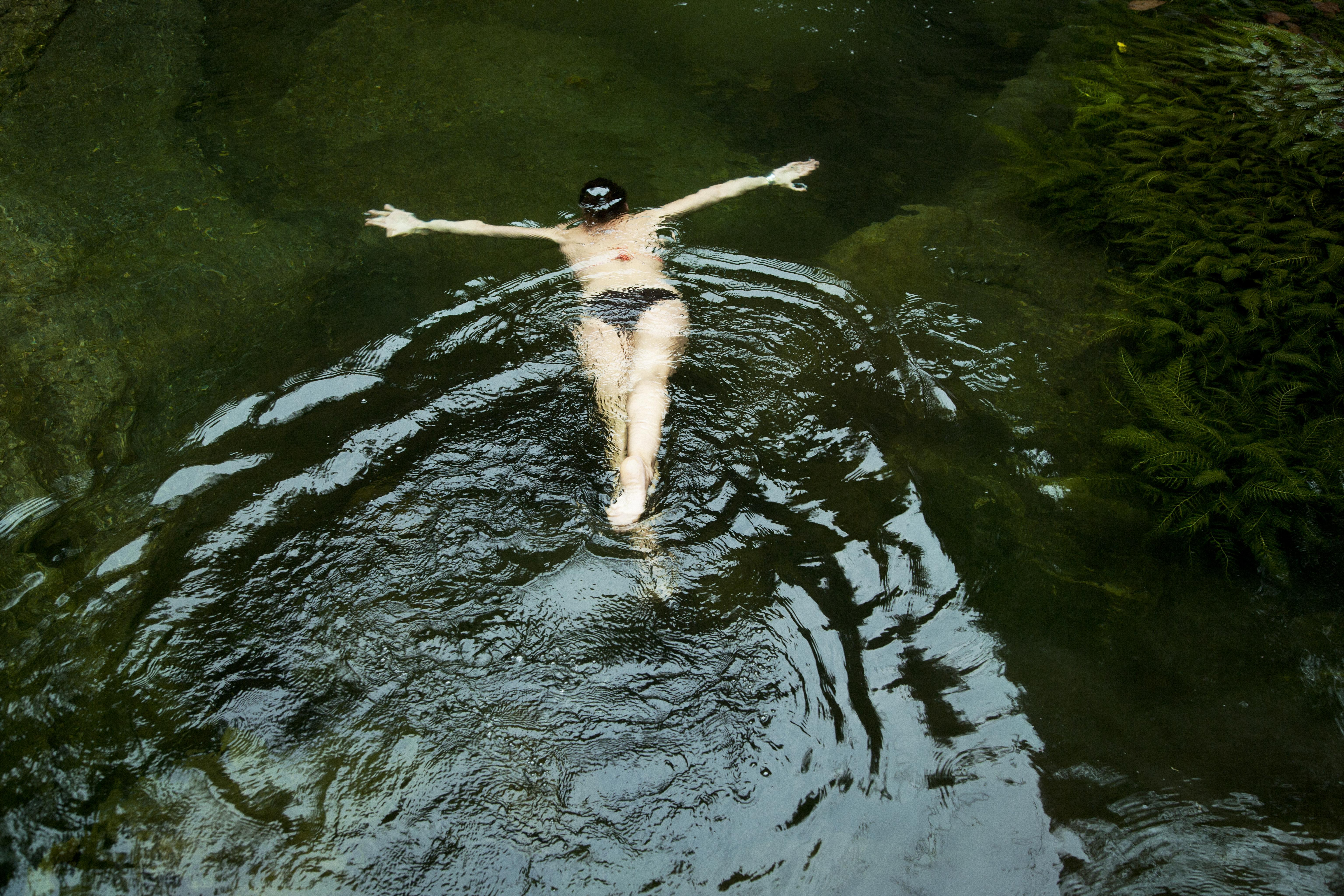 It's not all about the chimps.  The forest is full of life, and little secret places.