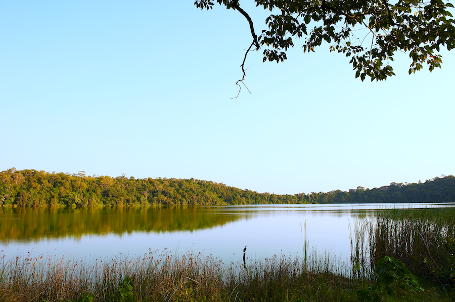 "The scenic shores of lake Duluti are within 3mnts of walking"