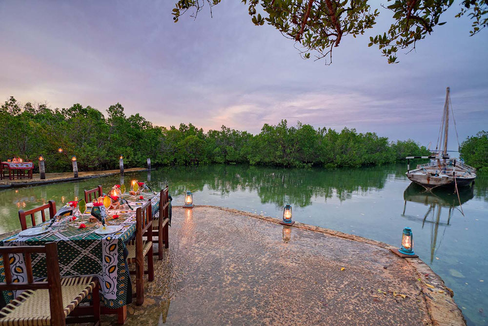 Eating dinner among the mangroves