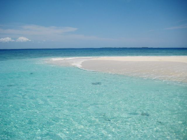 Full day picnic to a pure white sand bank - Kitutia