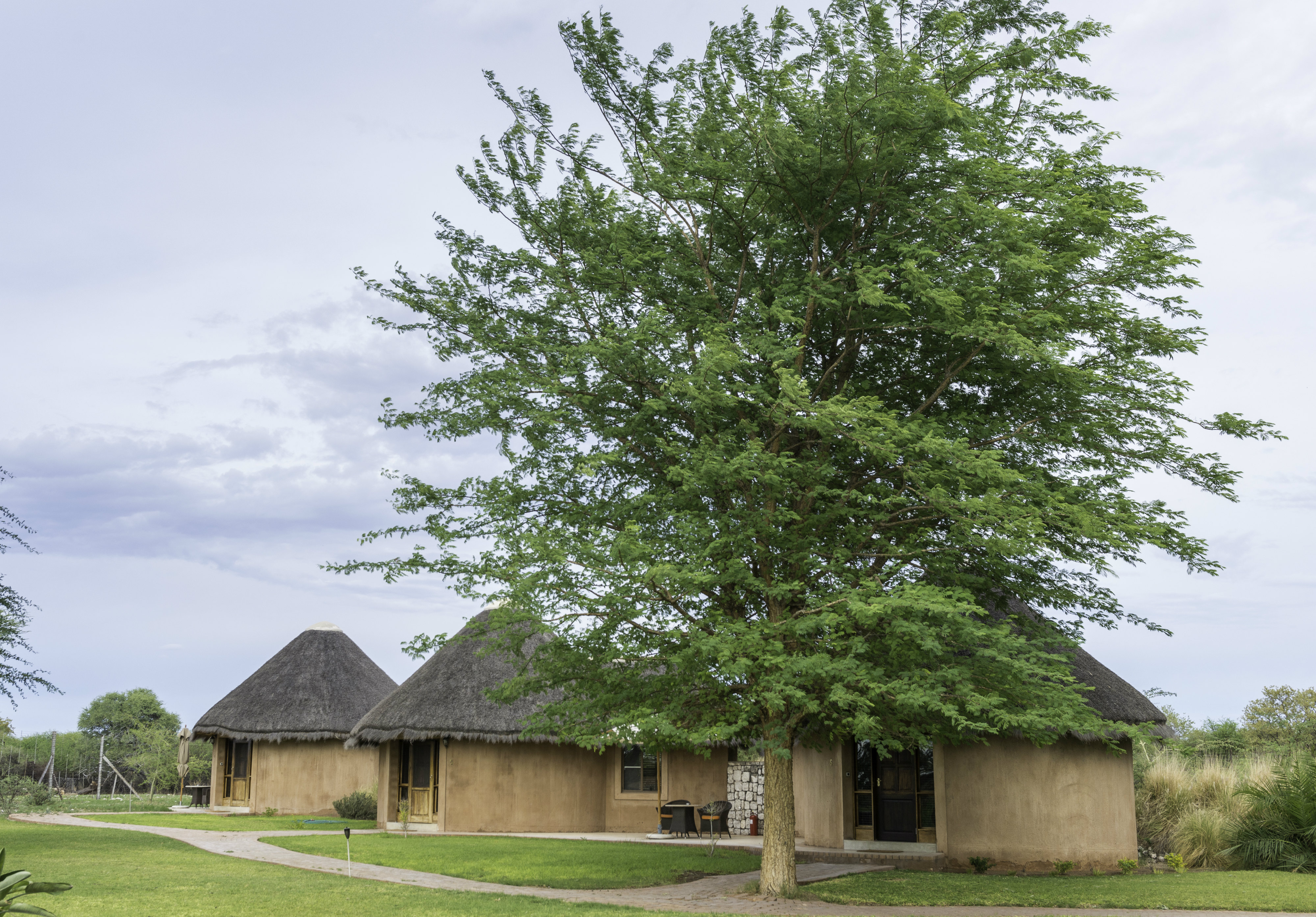 Onguma Bush Camp Rondavels