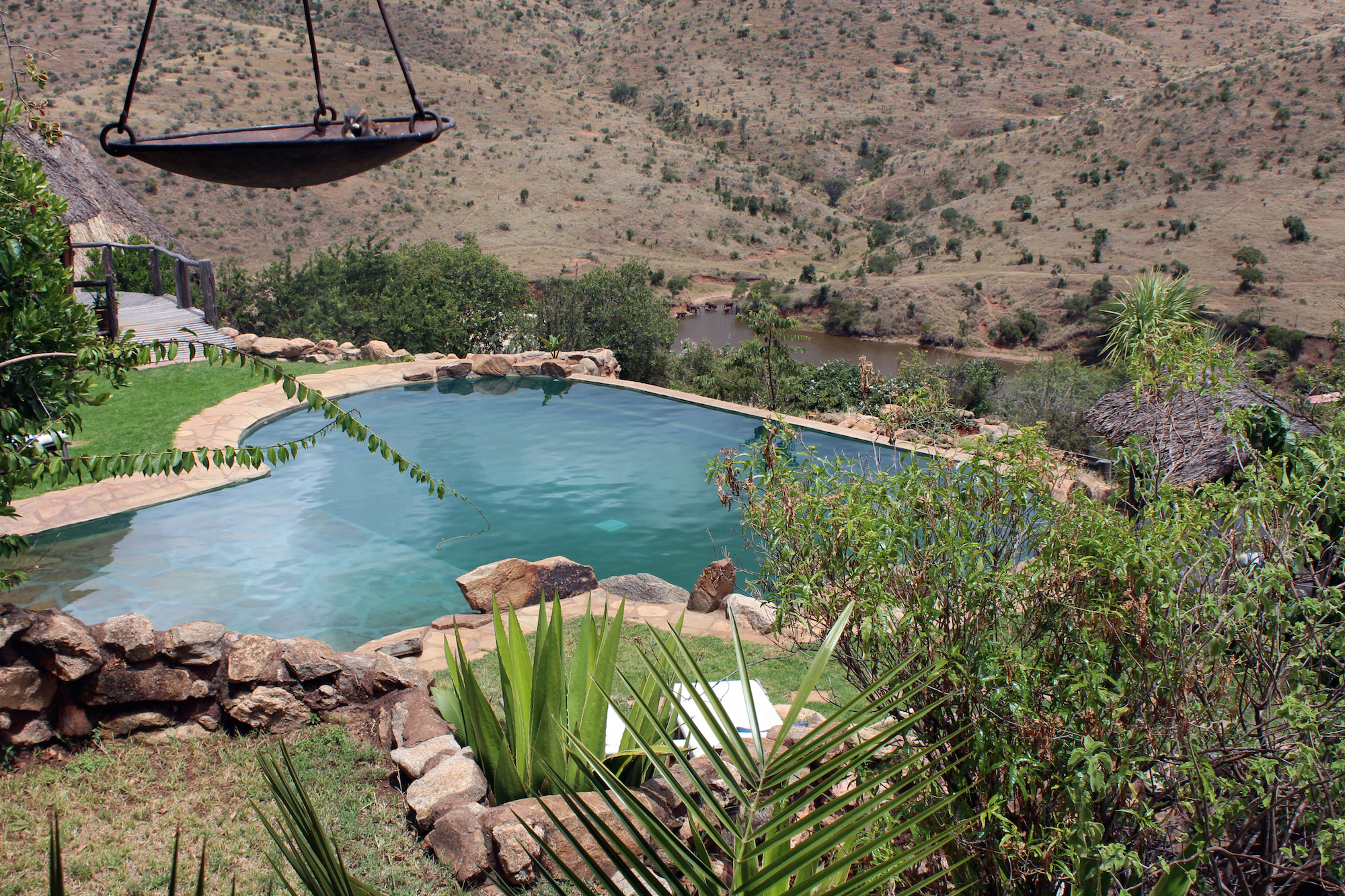 Elephants are often seen from the pool swimming in the dam below