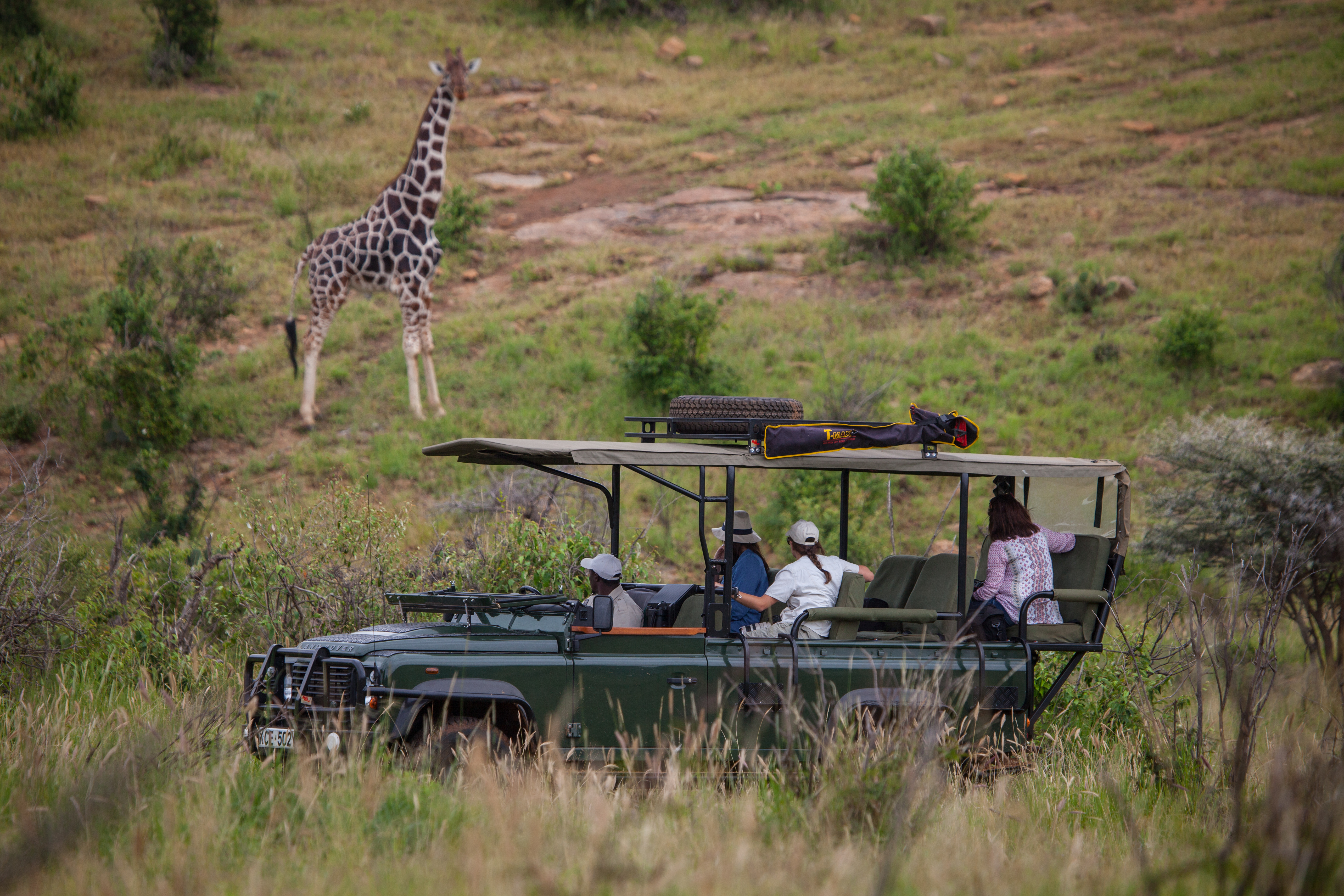 Loisaba boasts a fleet of new custom-designed Land Rover safari vehicles