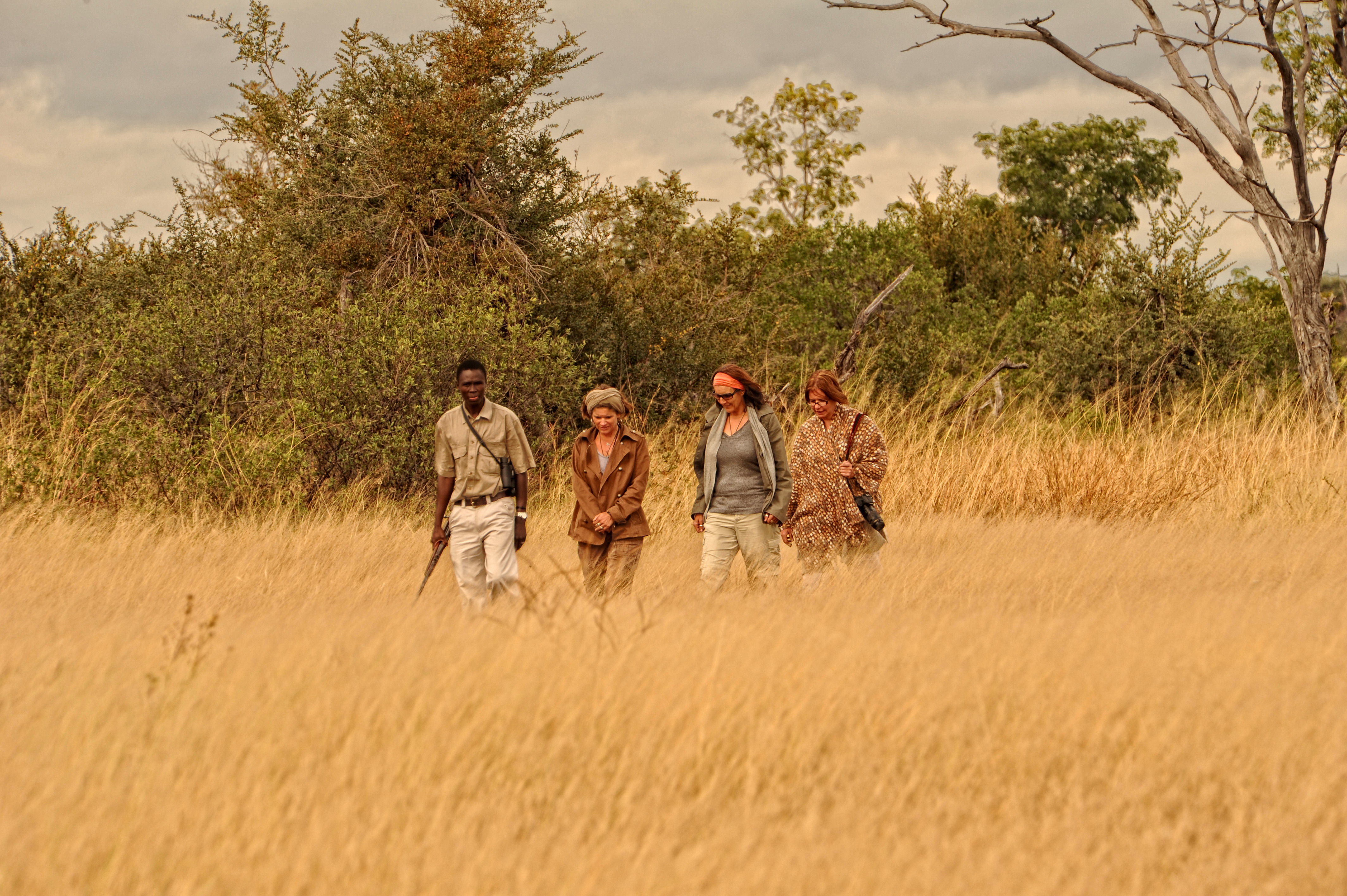 Walking Safari at Somalisa Expeditions 