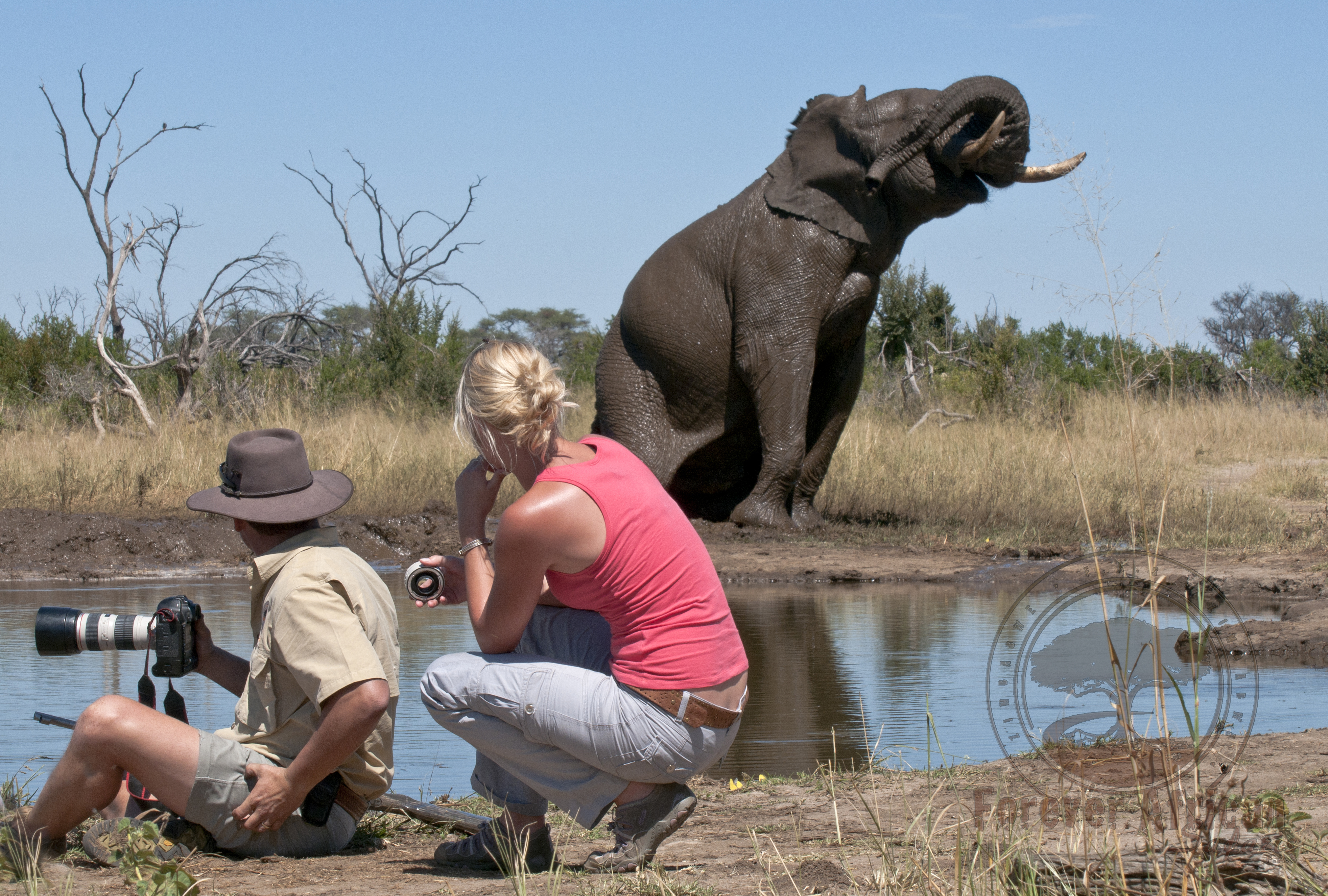 Forever African Safaris - Pride of Hwange, Hwange | Timbuktu Travel