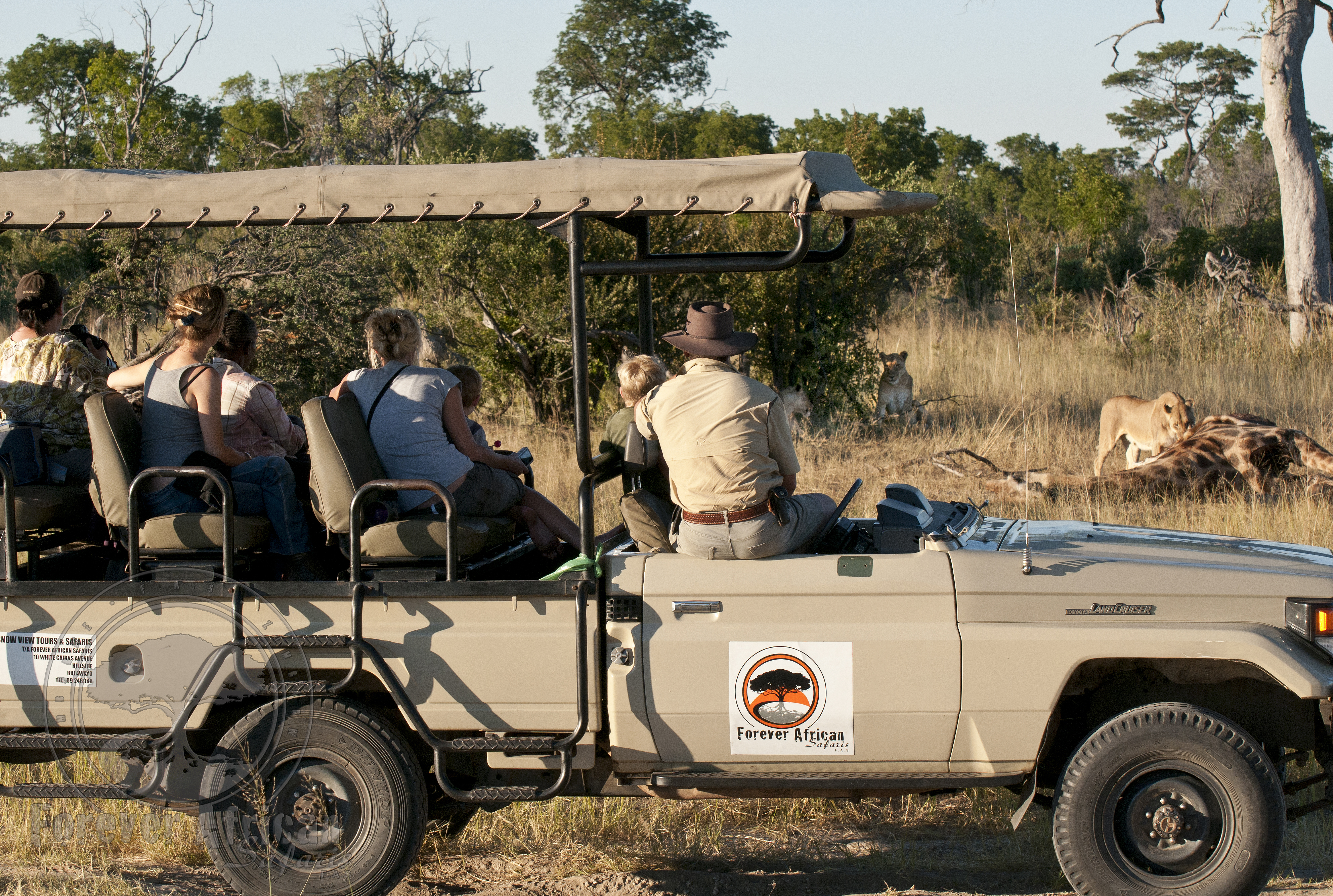 Game drives are another of the activities on offer  