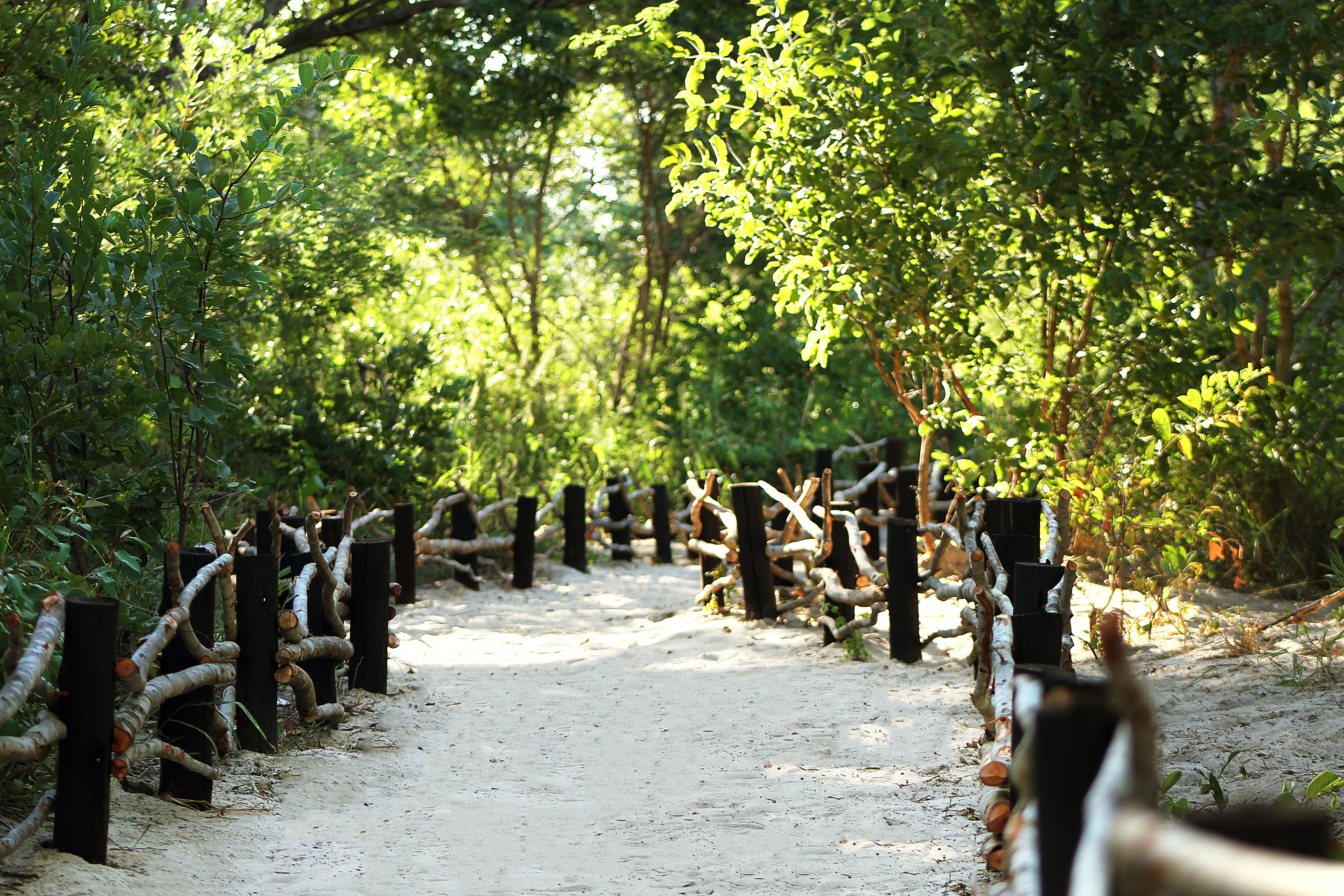 Walkway to Bush Tents at Gwango