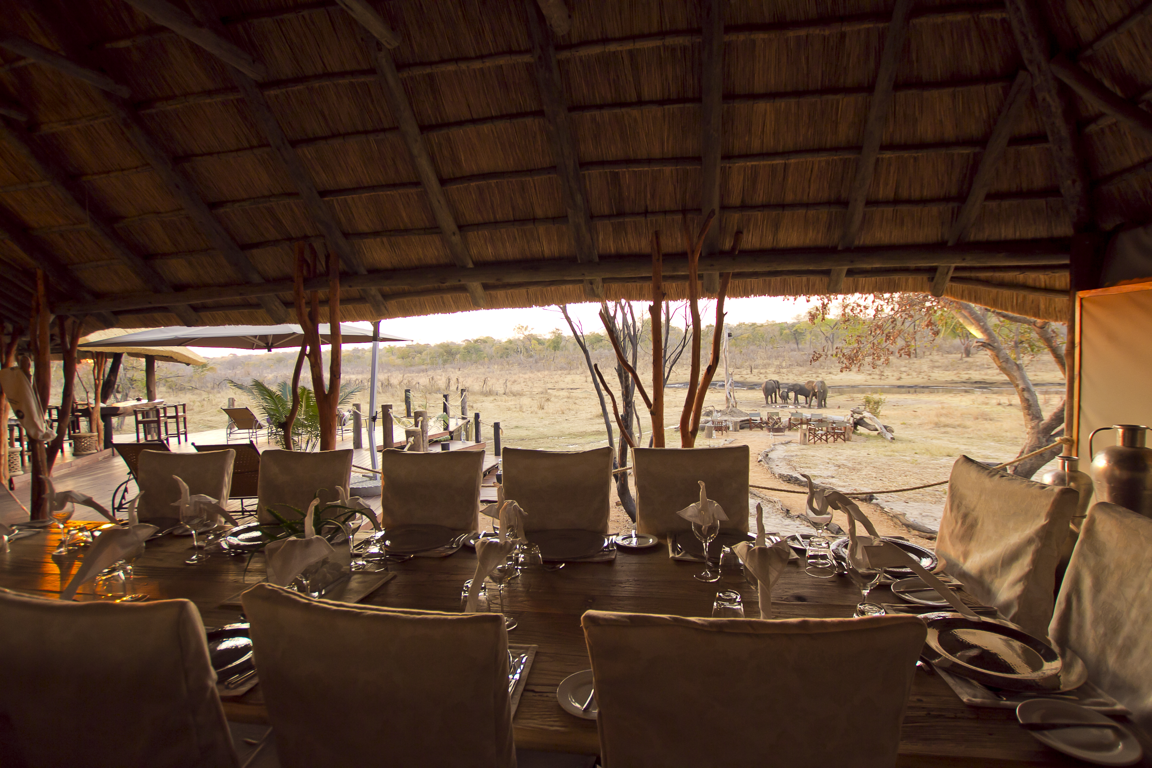 Dining with an African inspired view