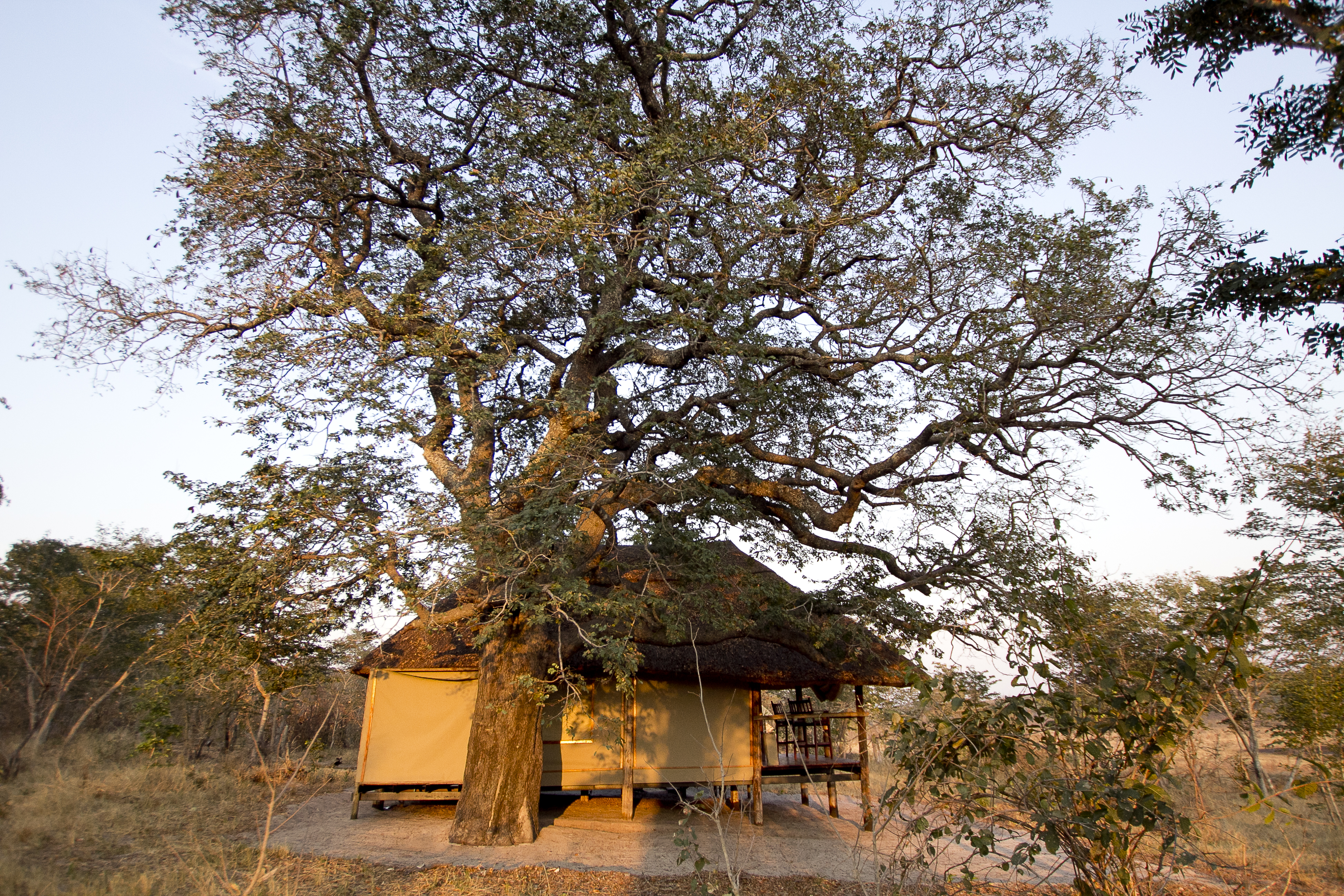 Suites have been built with minimal impact to the surrounding environment and gives guests the feel of wild Africa
