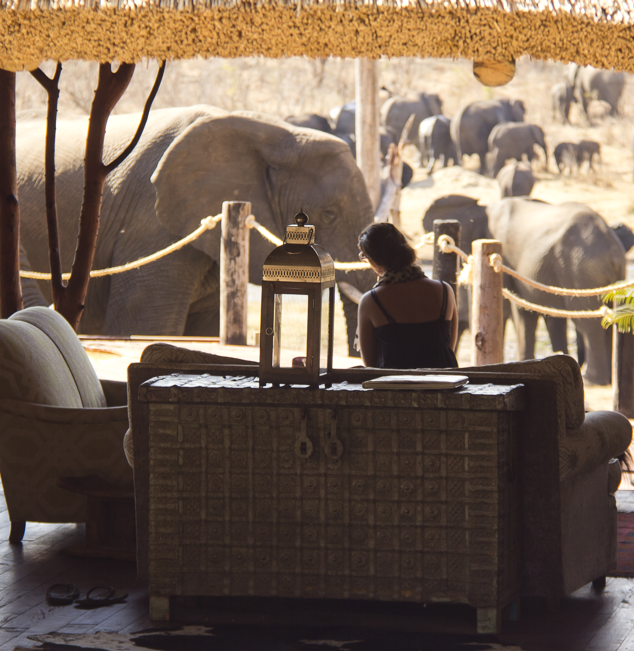 Main area consisting of lounge, outside deck with plunge pool and captains table. 