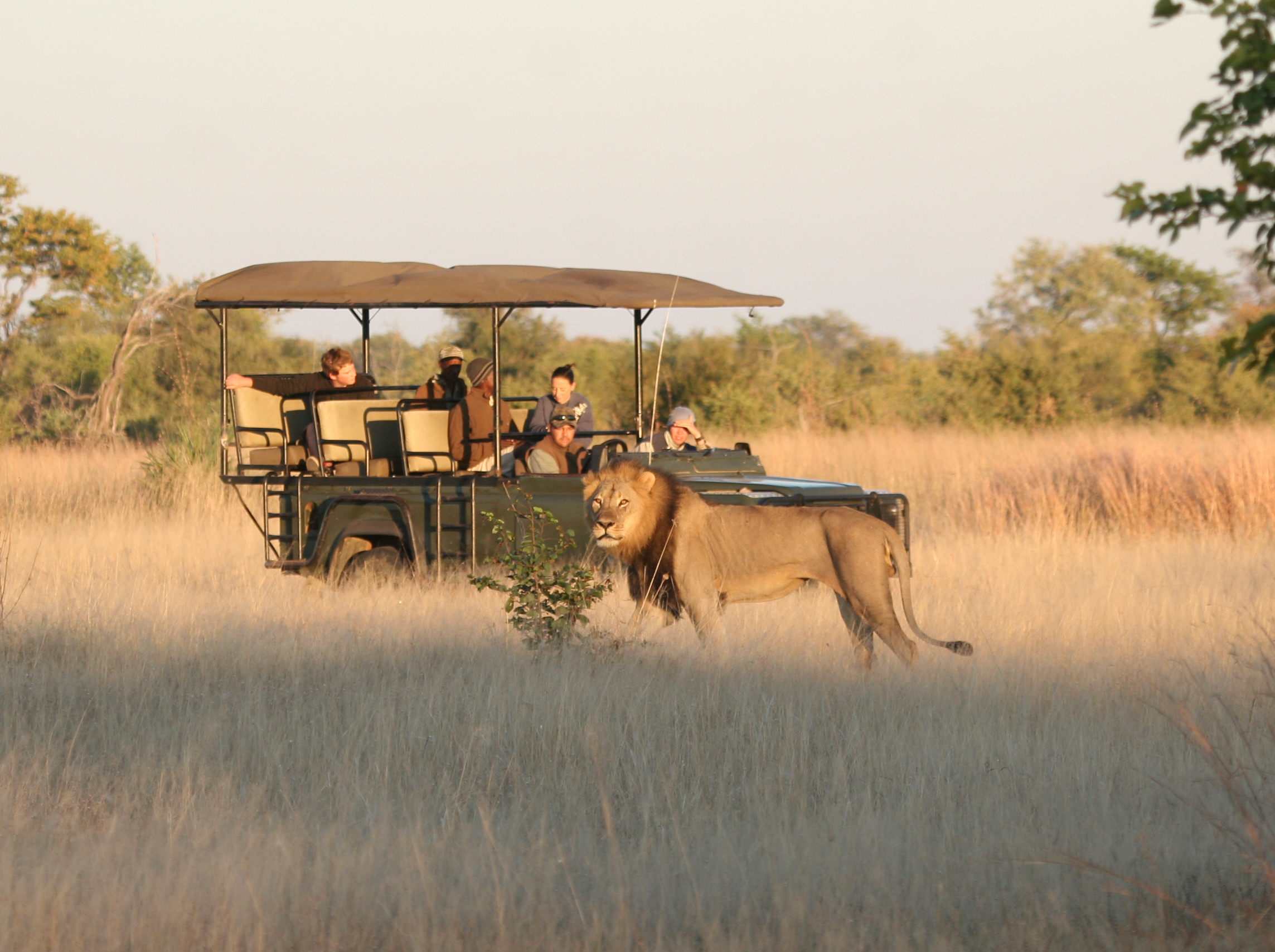 Hwange offers fantastic game drive experiences