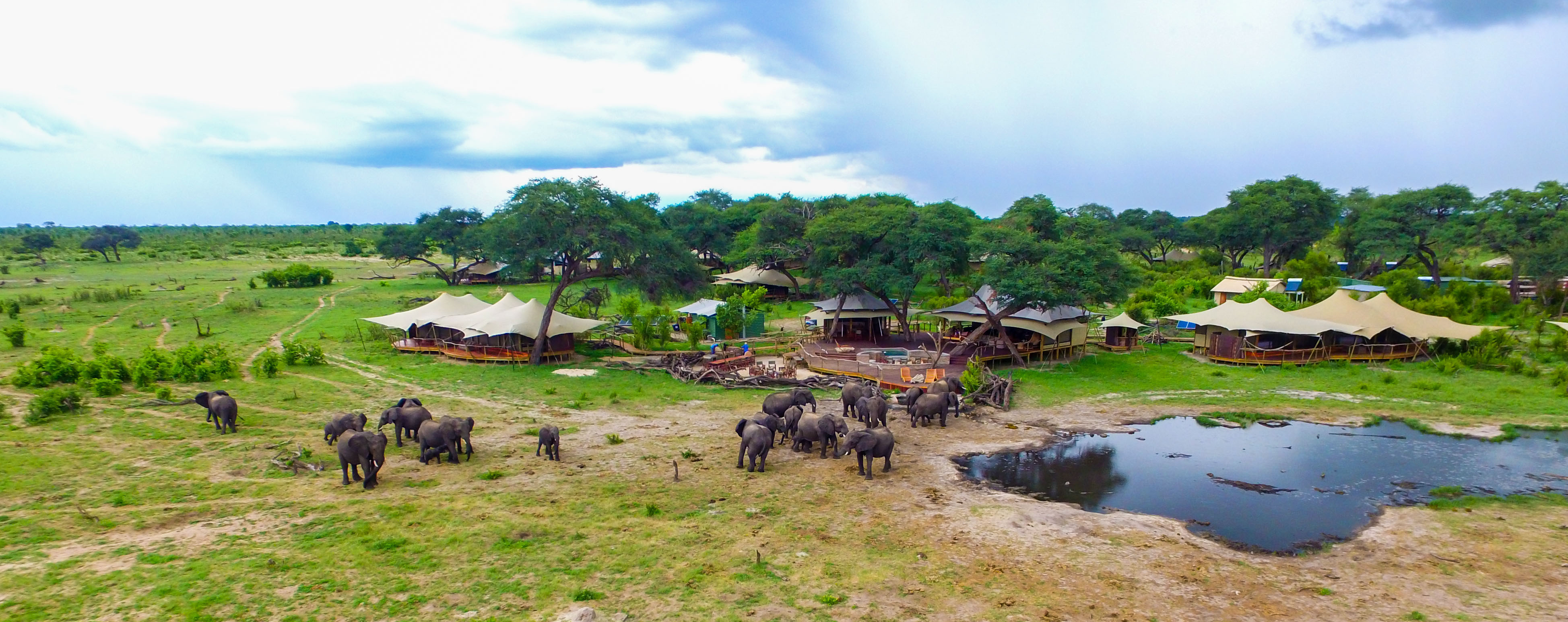 Elephants around the Somalisa Acacia Camp