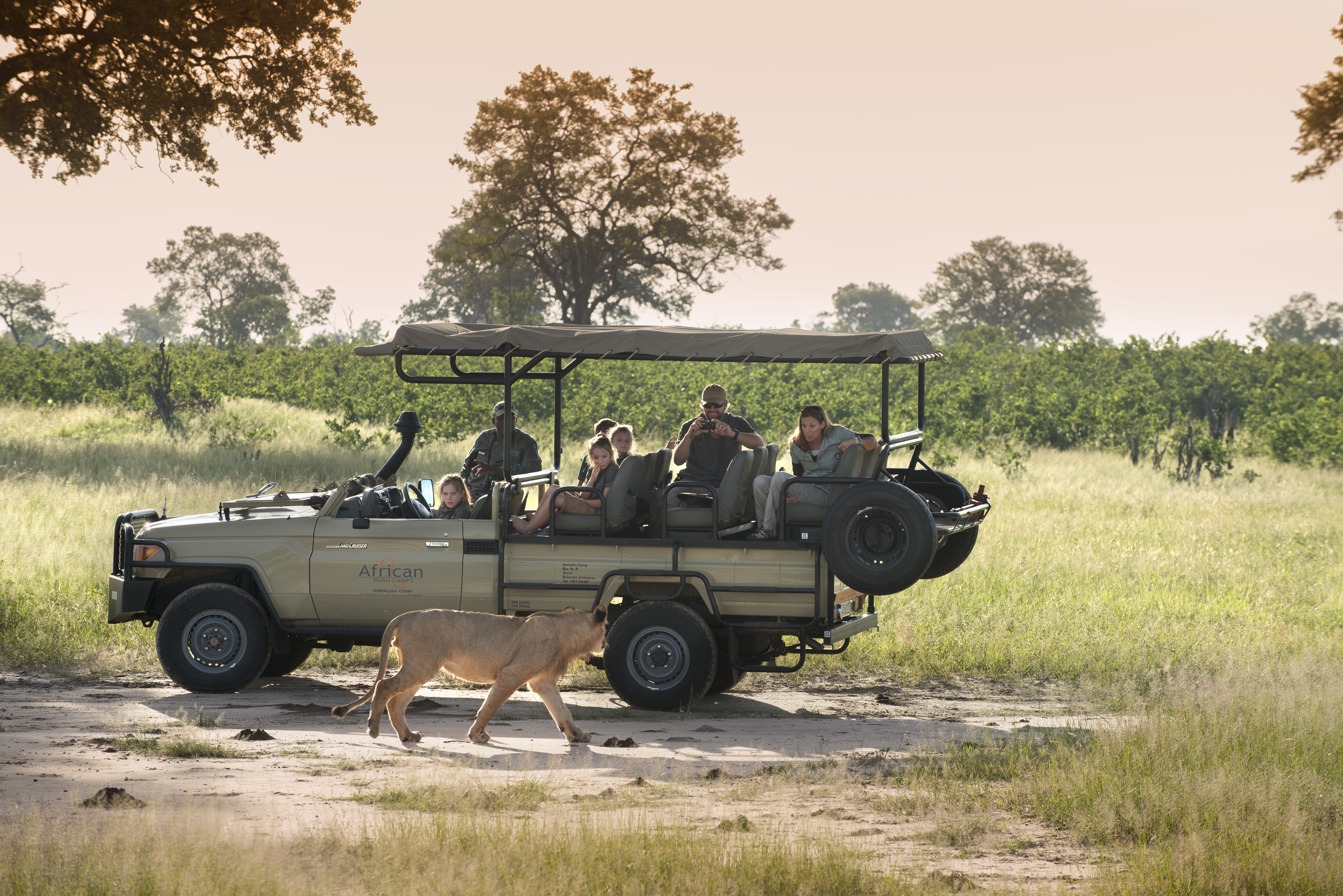 Game Drive