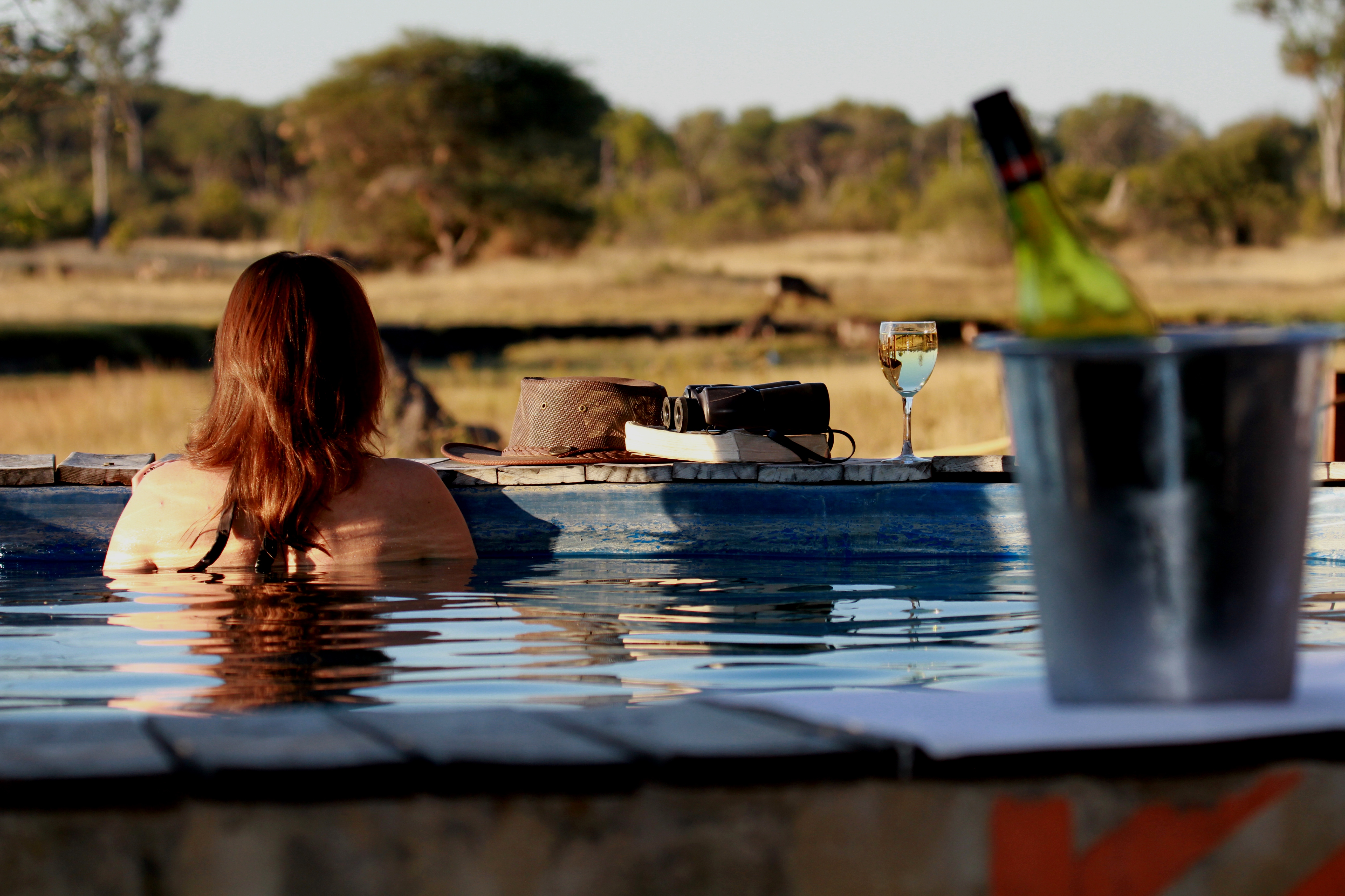 Enjoy general game viewing from the lodge swimming pool