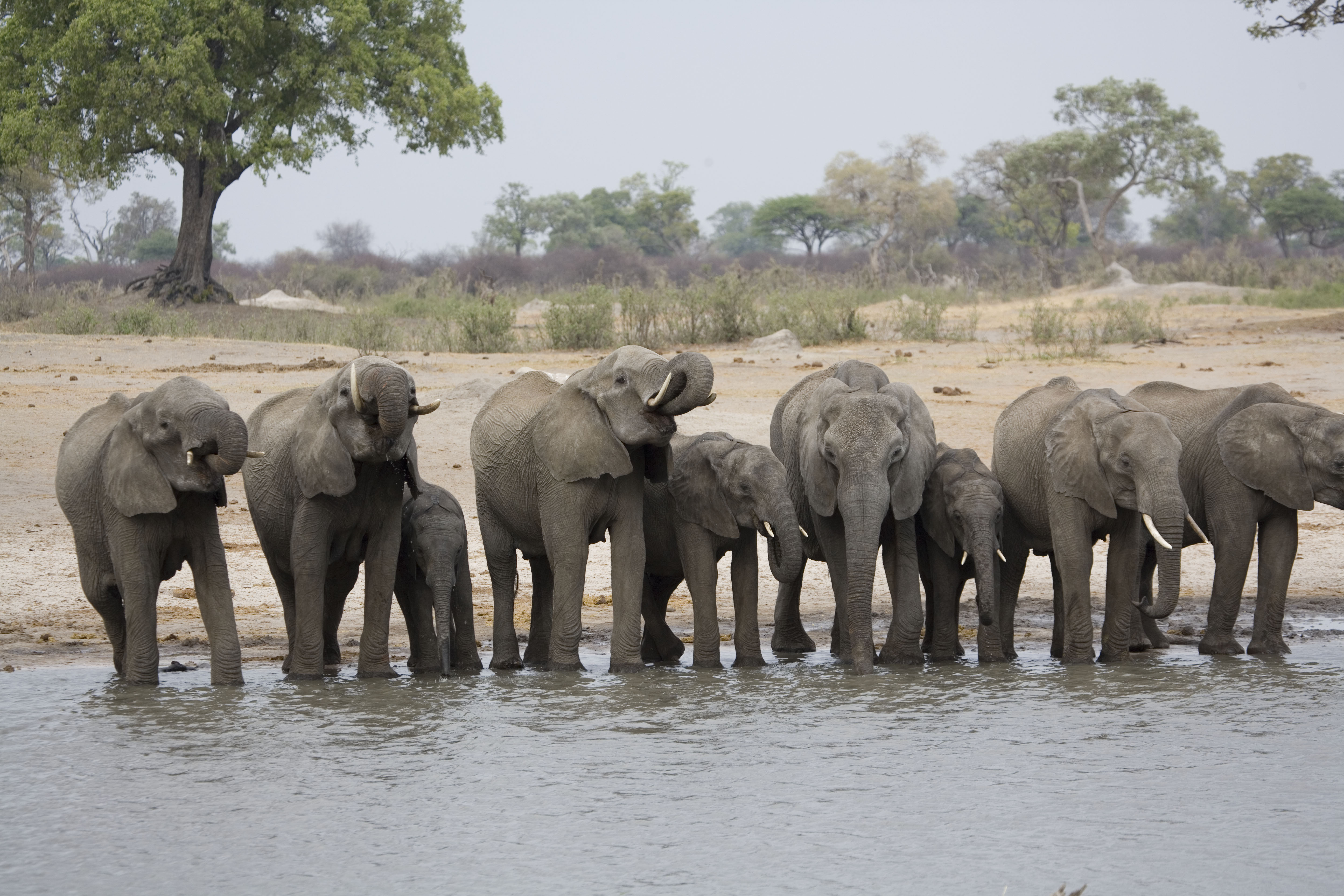 Exceptional game viewing at The Hide