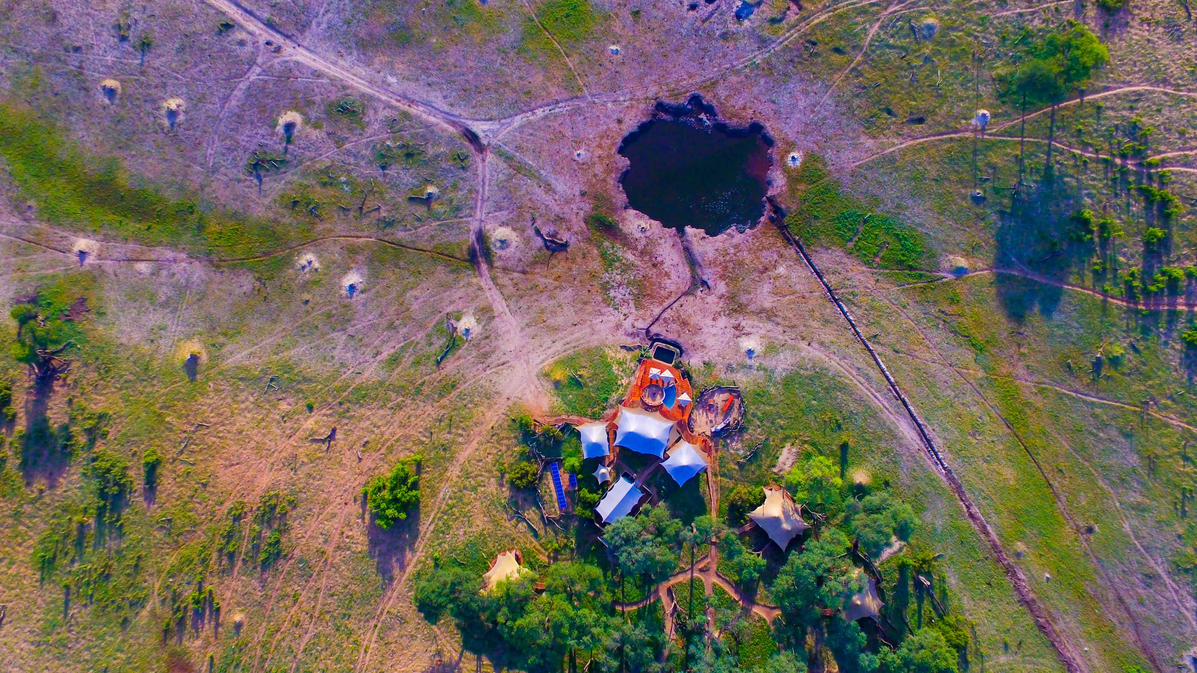 Overview from the whole Somalisa Camp