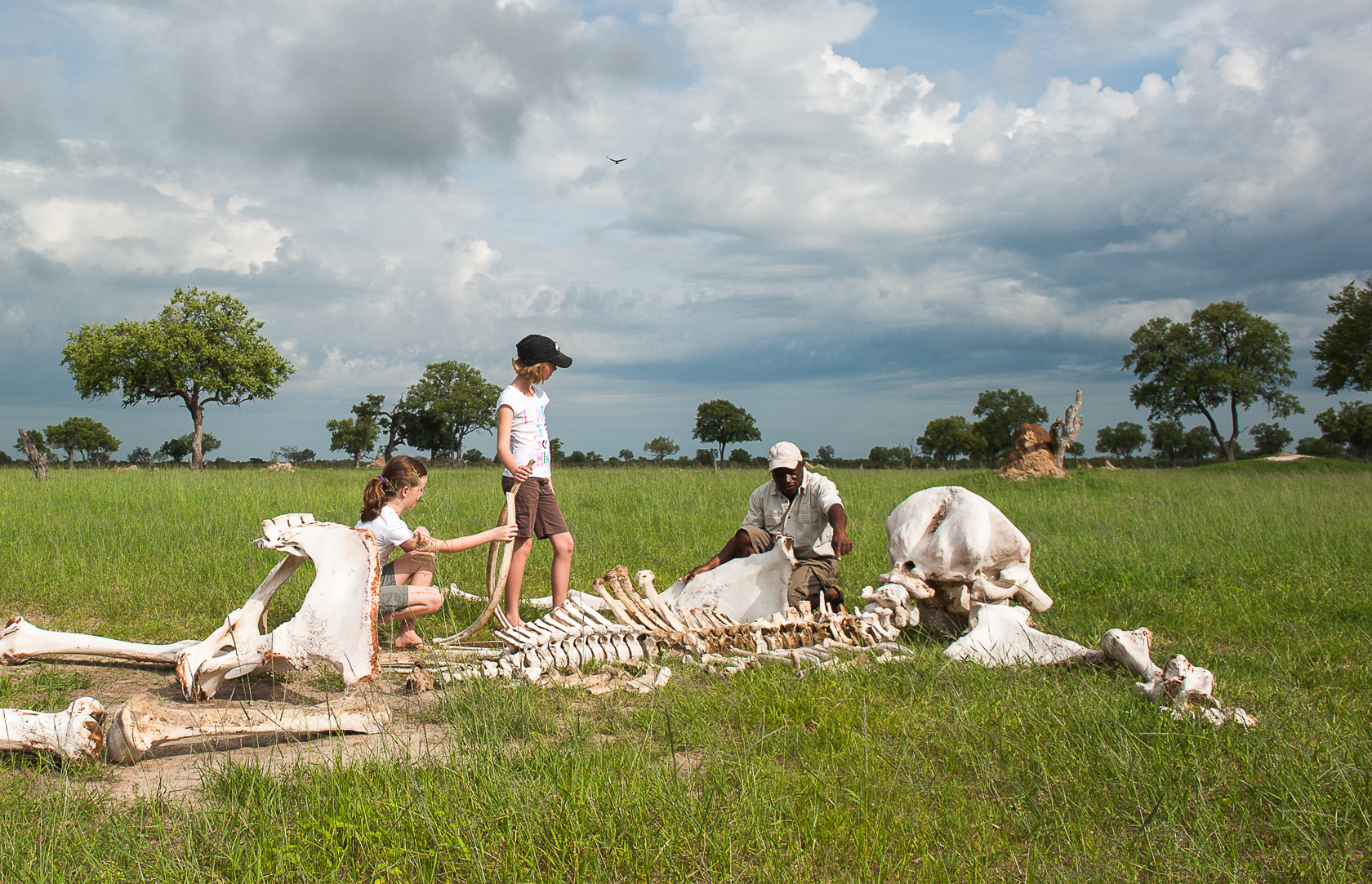 Children examine an elephant skeleton