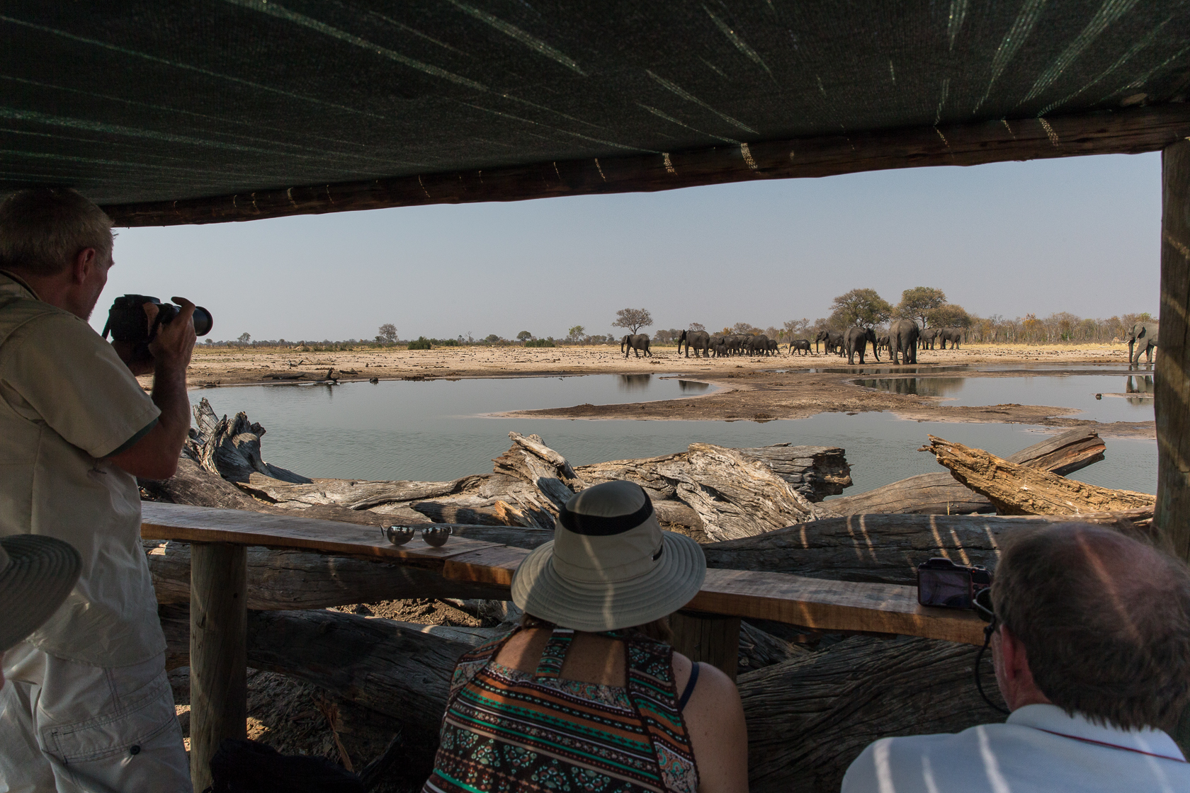 Log-pile hide with elephants at the waterhole