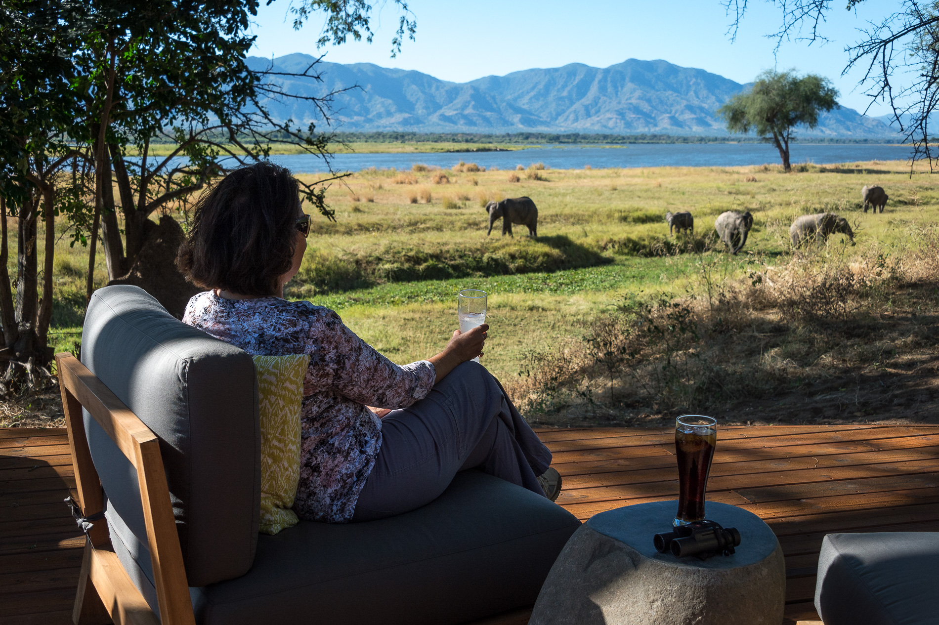 Always amazing wildlife sightings from the main area