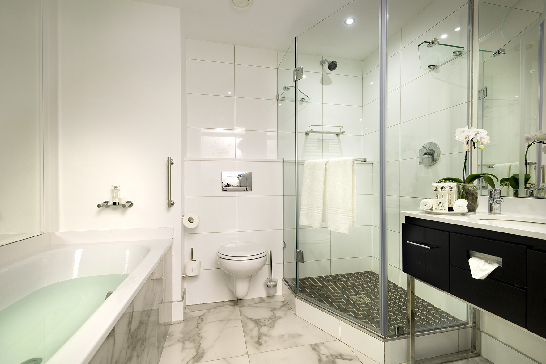 Executive Room Bathroom 