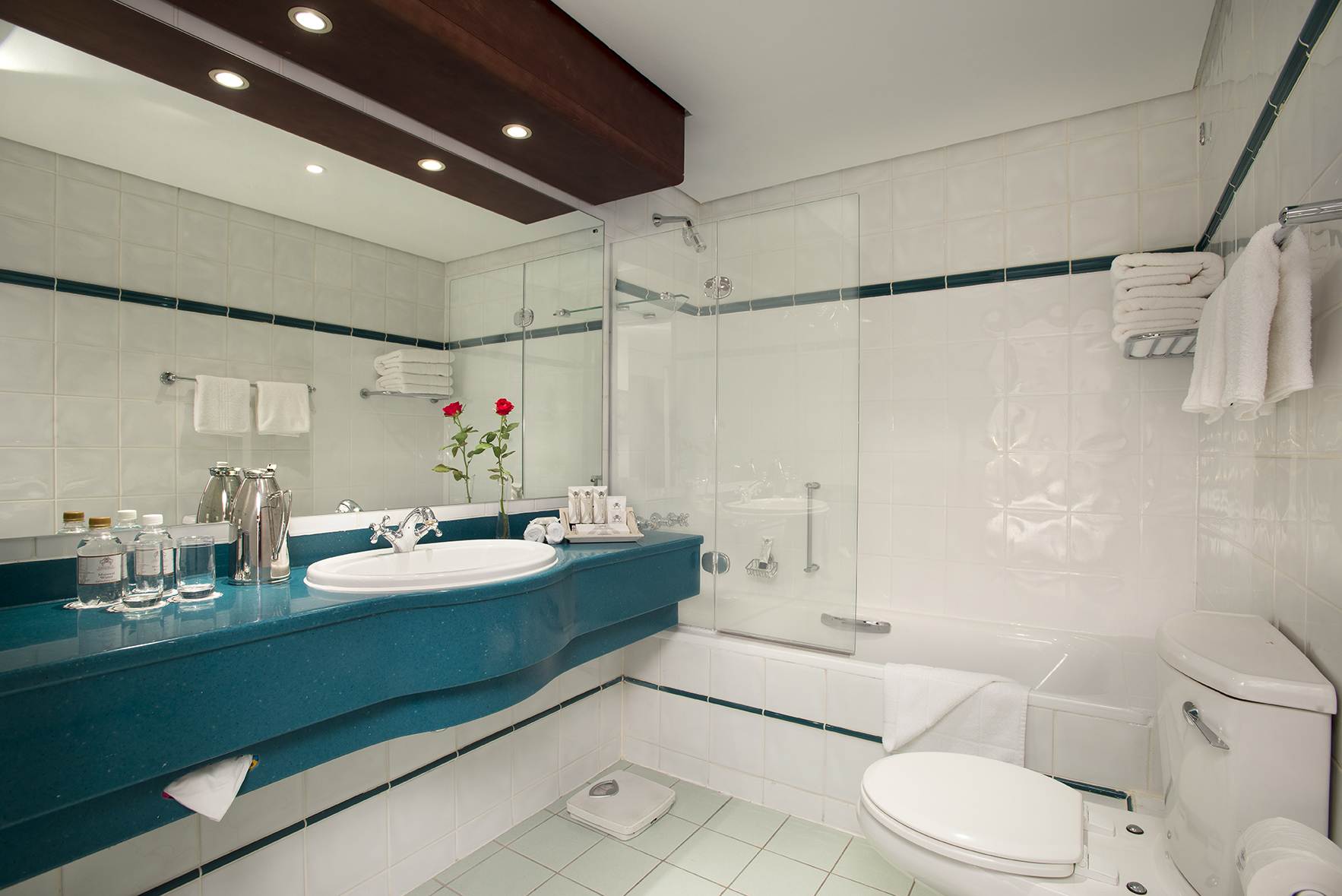 Standard Room Bathroom 