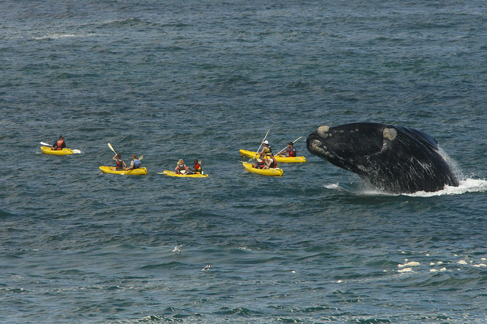 Zoete Inval Traveller's Lodge, Hermanus | Timbuktu Travel