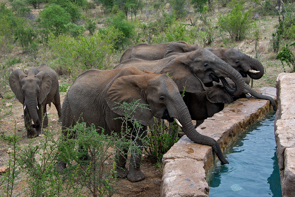 A magical moment of interaction